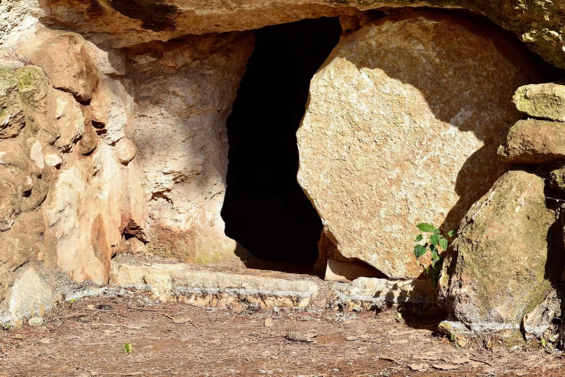 The Resurrection of Christ