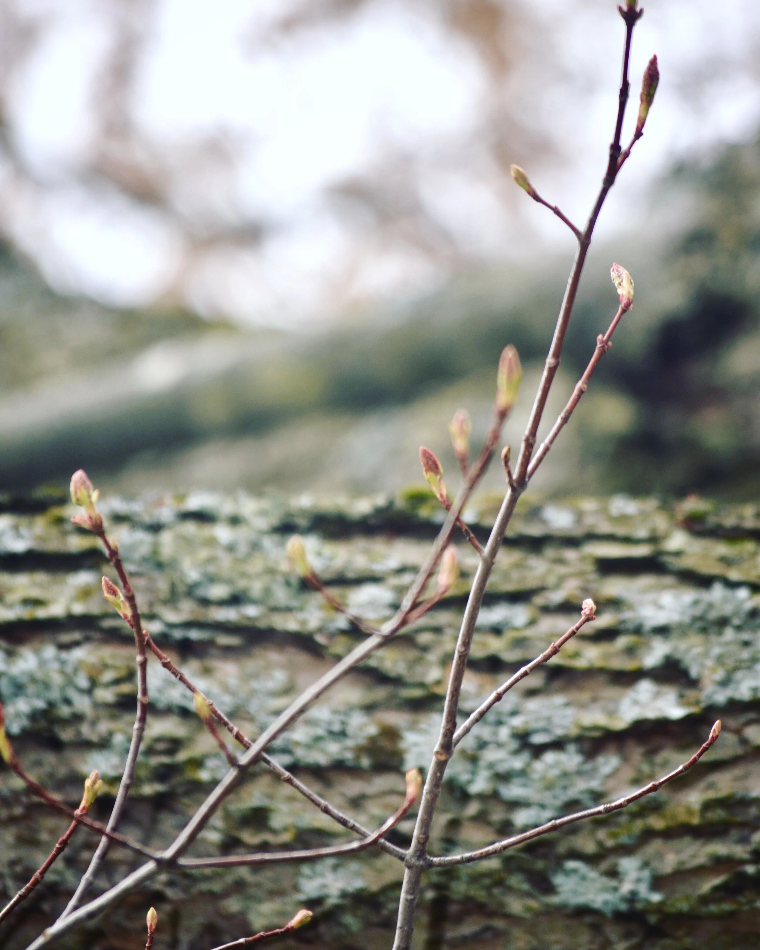 The mystery of ministry (the methods of ministry)