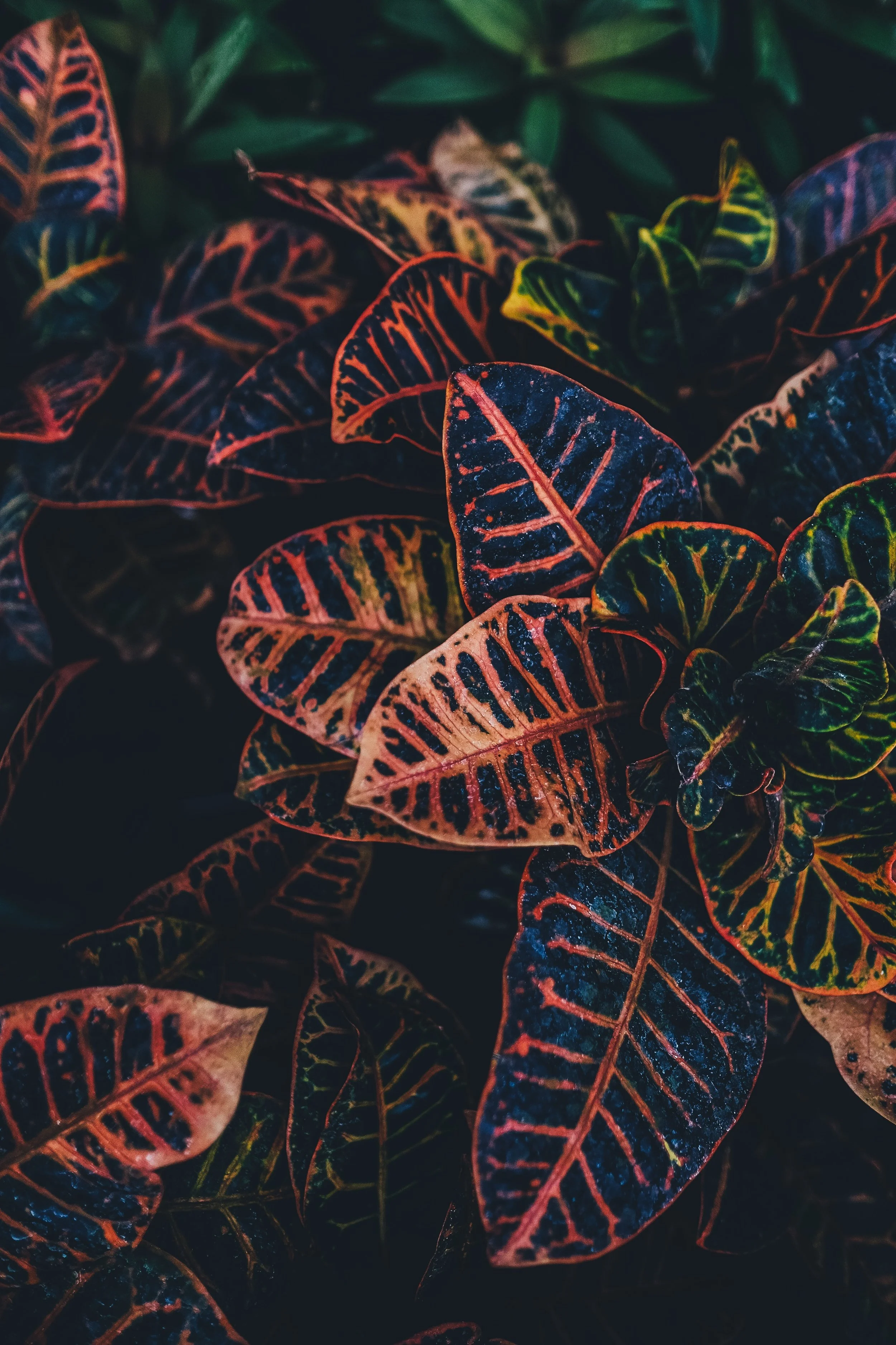 You are a leader