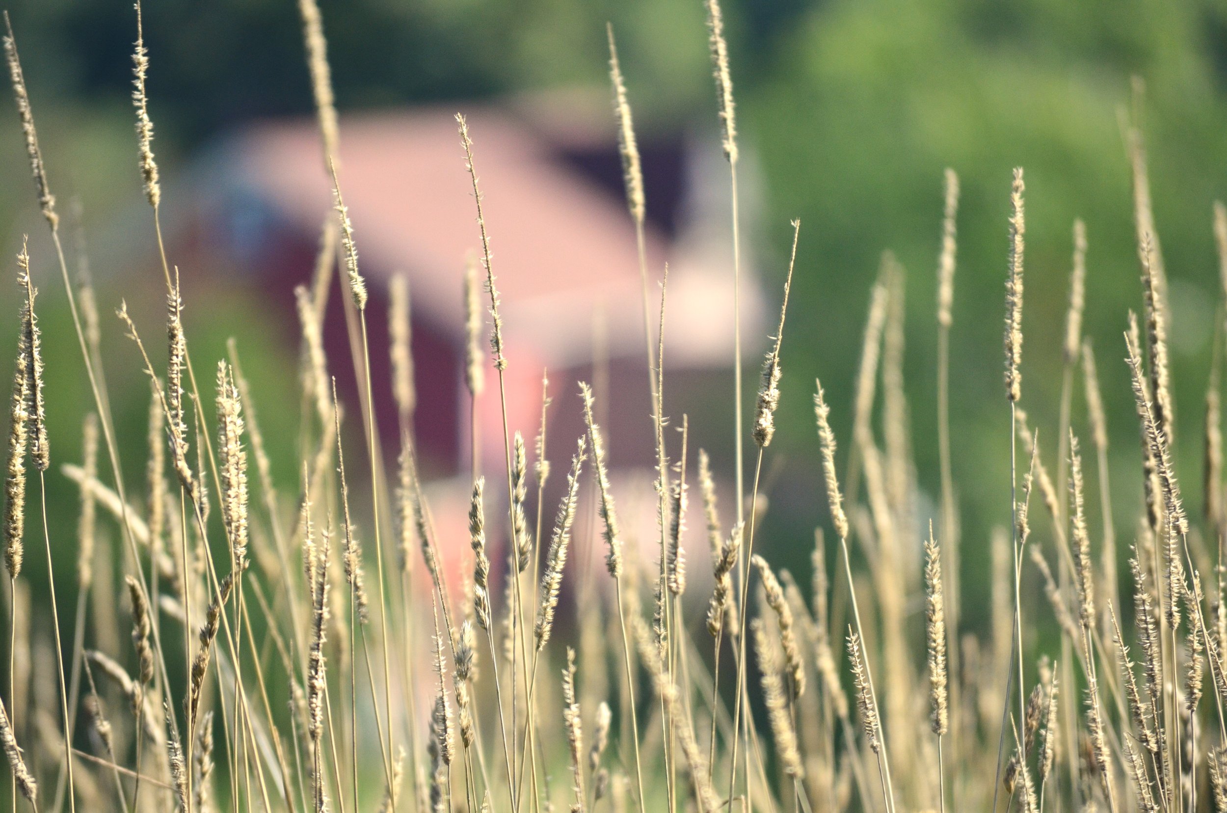 God doesn't want your obedience