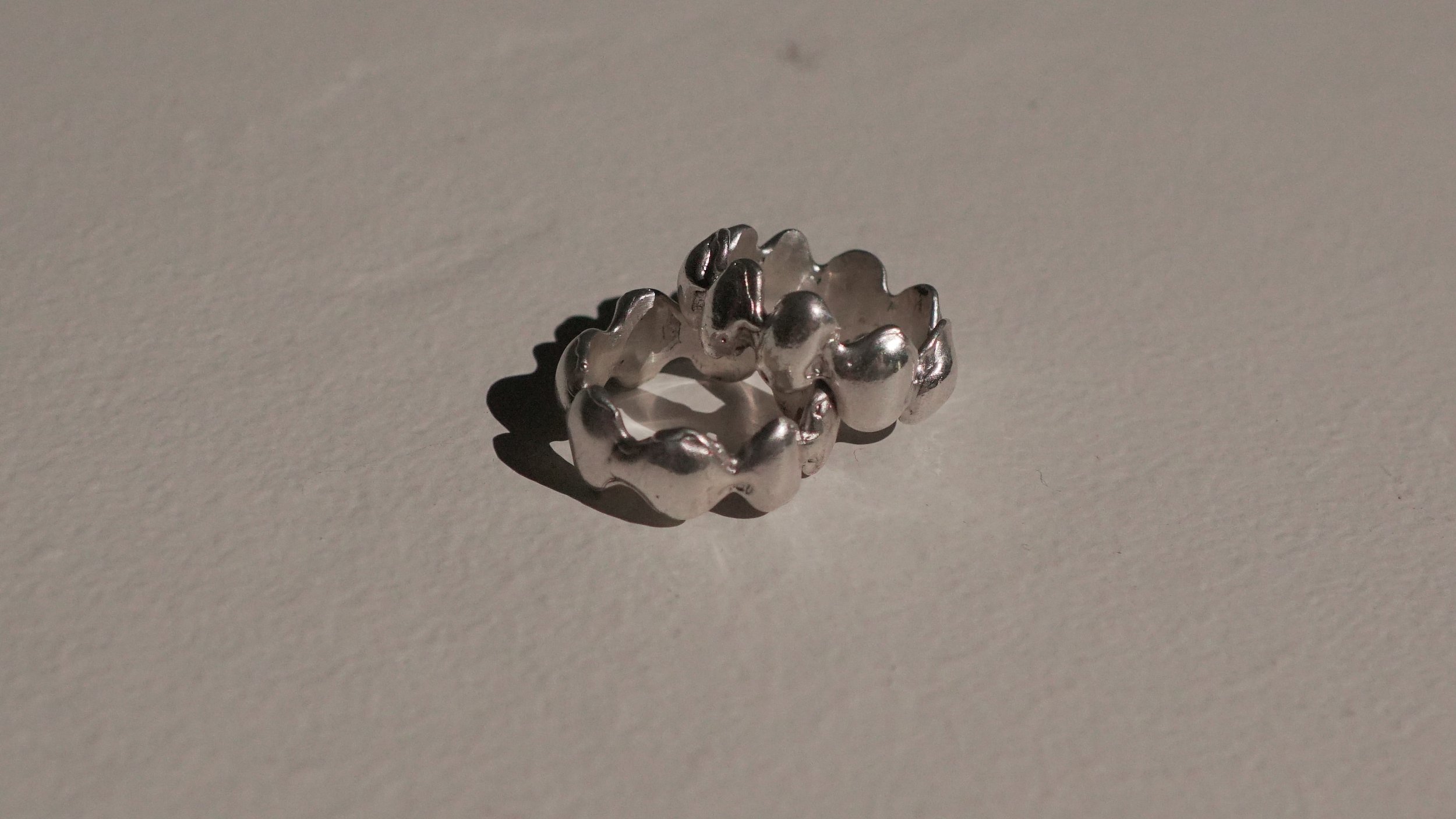 Dani Ring
