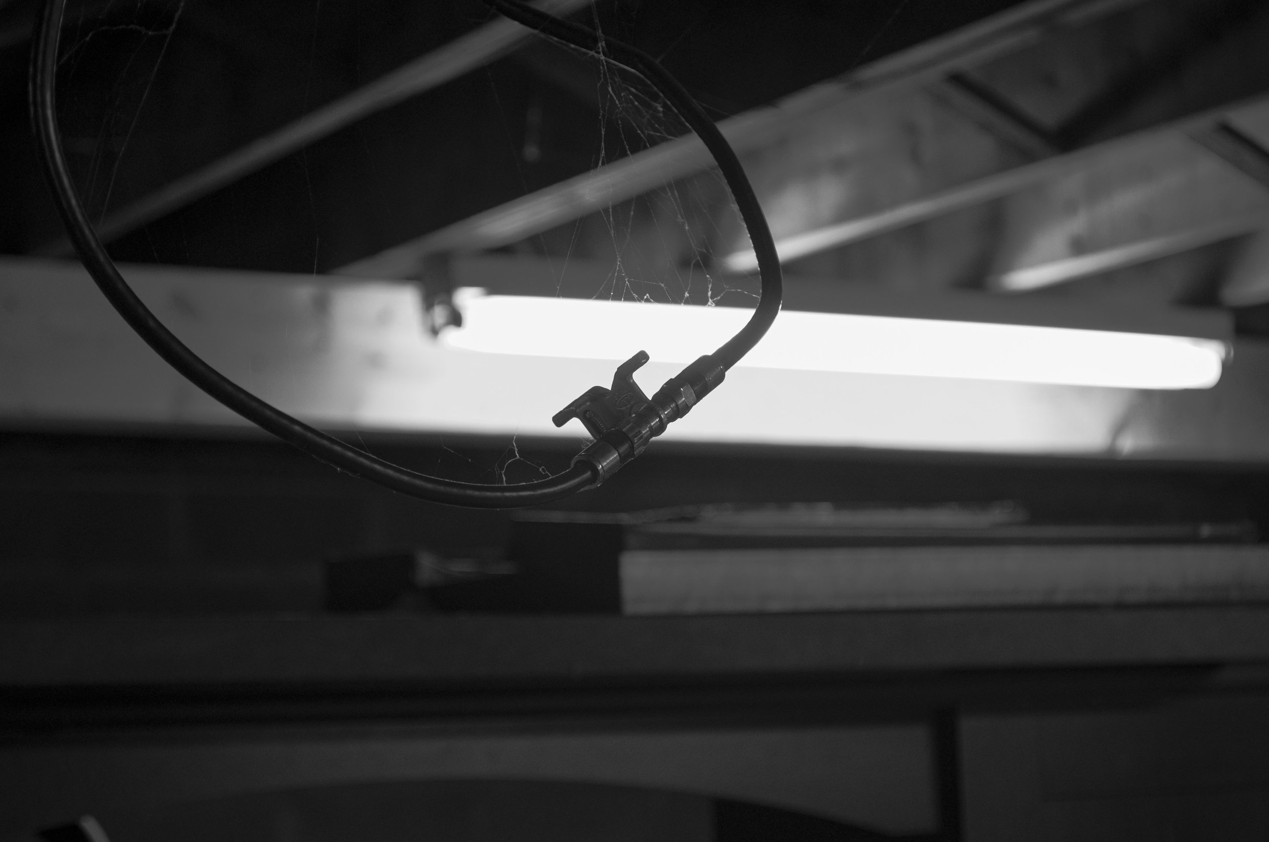 cdumas-BW-1.jpg