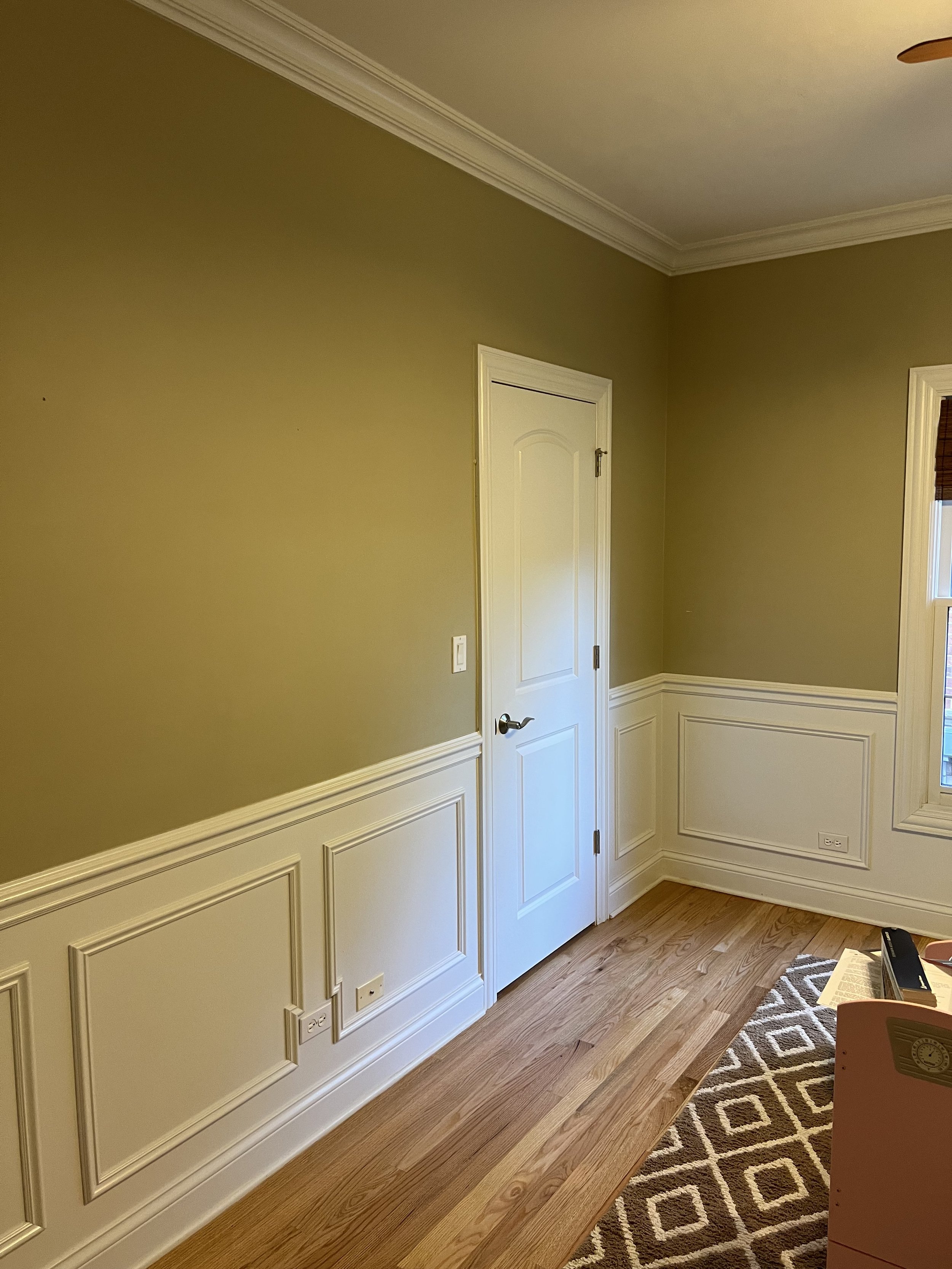 Corner of a room with green walls, white wainscoting, a white door, hardwood floor, and a patterned area rug.