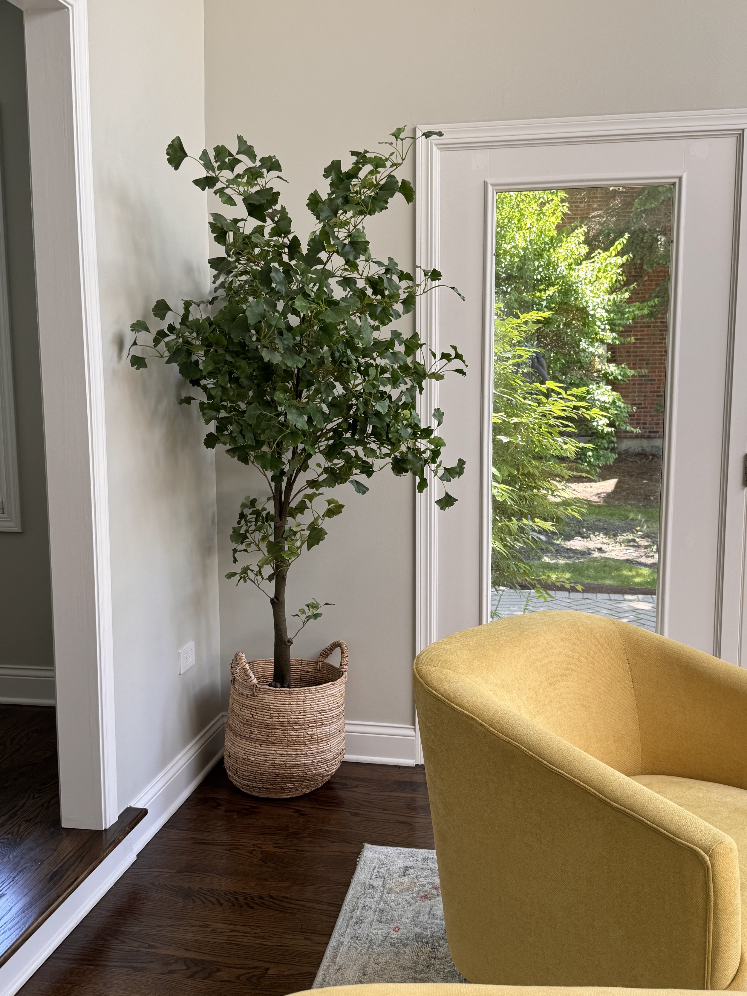 A yellow armchair near a window with a view of greenery outside, a large potted plant with dark green leaves in a woven basket, a small rug on a dark wooden floor, white walls, and white trim.