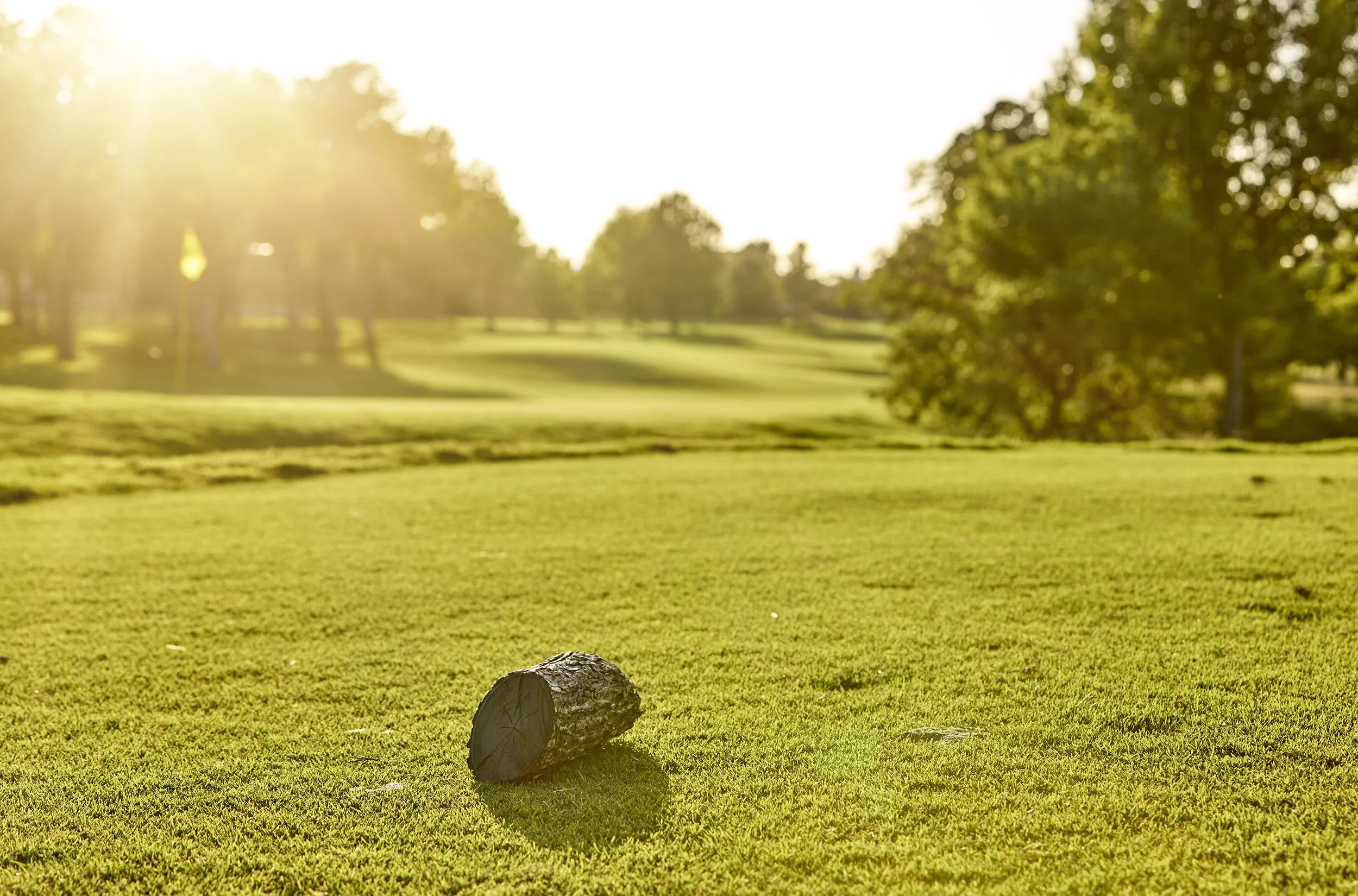 Golf-tee-box-Oaktree-National-Still-Photos_Frechette_0931.jpg