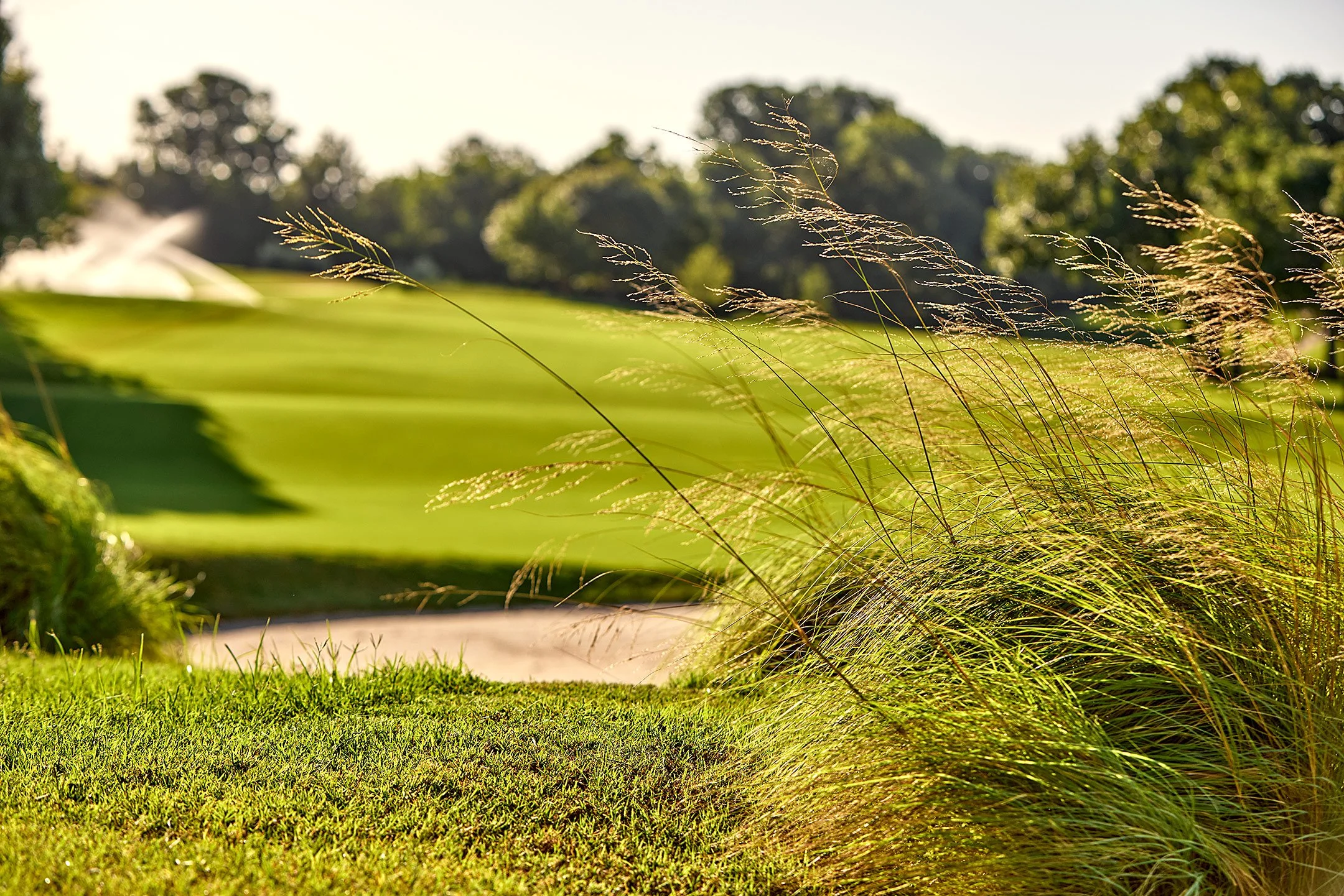 Oaktree-National-grass-bunker_Frechette_1088.jpg