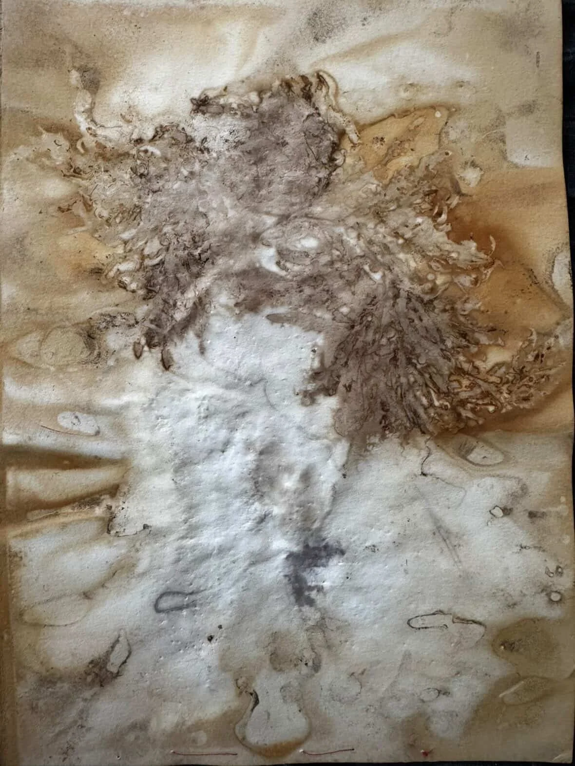 Eco print seaweed on paper - Copy.JPG
