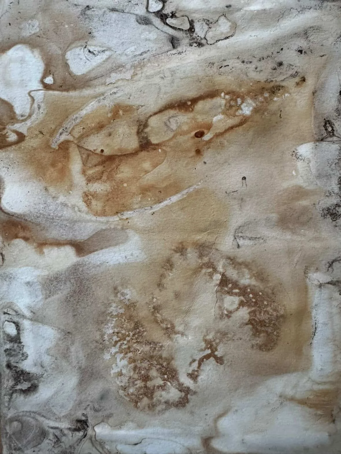 Eco print seaweed on paper 3 - Copy.JPG