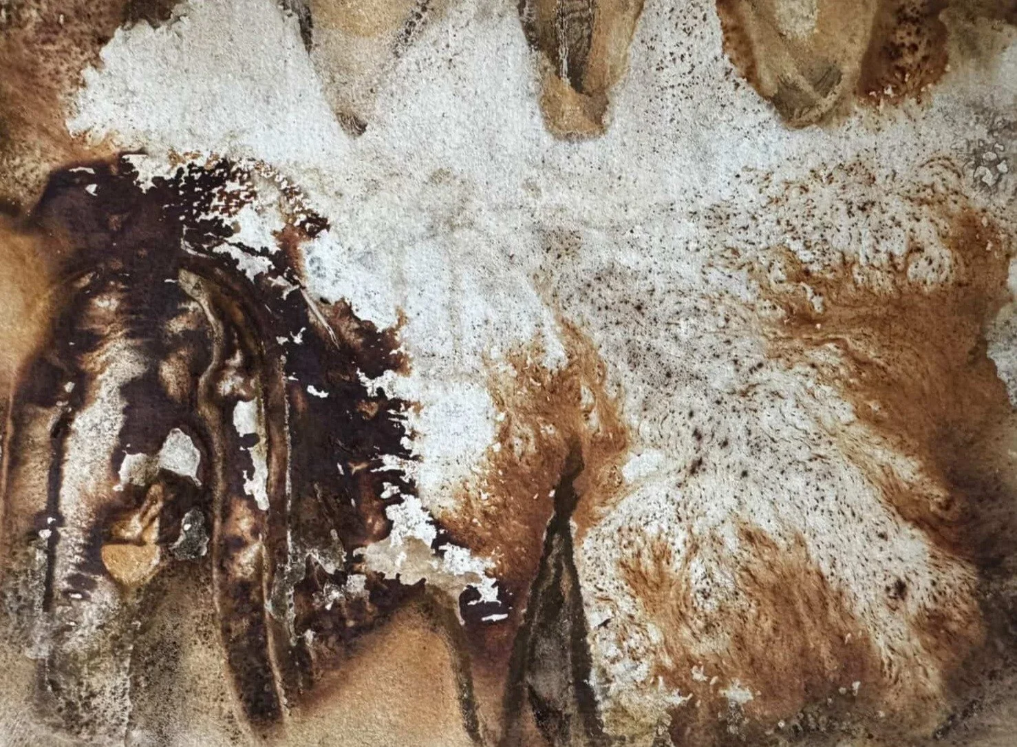 Eco print seaweed on paper 2 (edited) - Copy.JPG