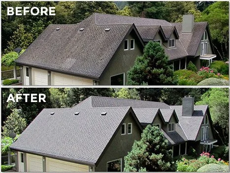 Before-and-after roof soft washing by All Brevard Pressure Pros in Brevard County, Florida.