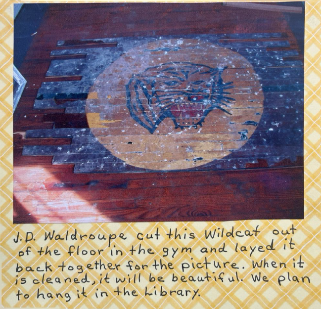 This wildcat was going to be cleaned up and hung in the library, but went someplace safe for storage and has been MIA. 