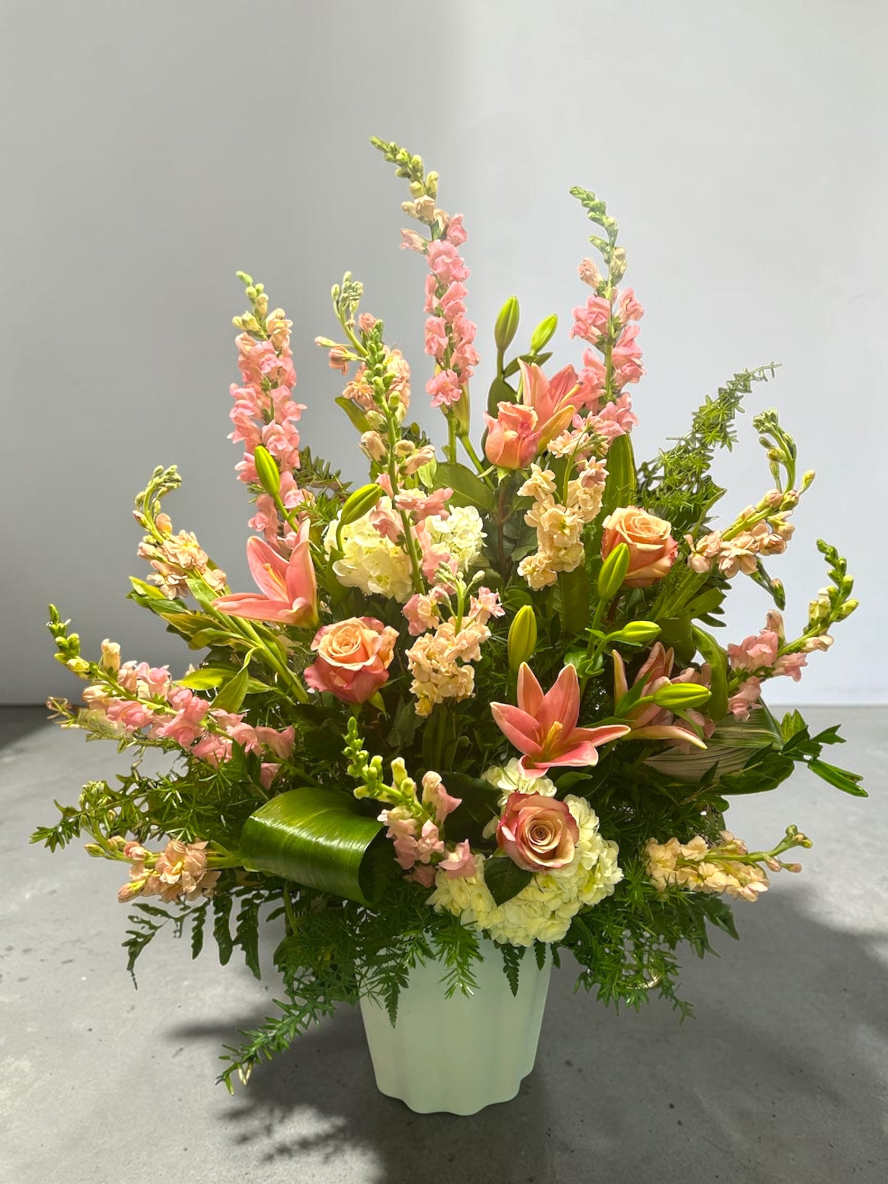 Photoroom_20250716_160755-Photoroom.jpg
