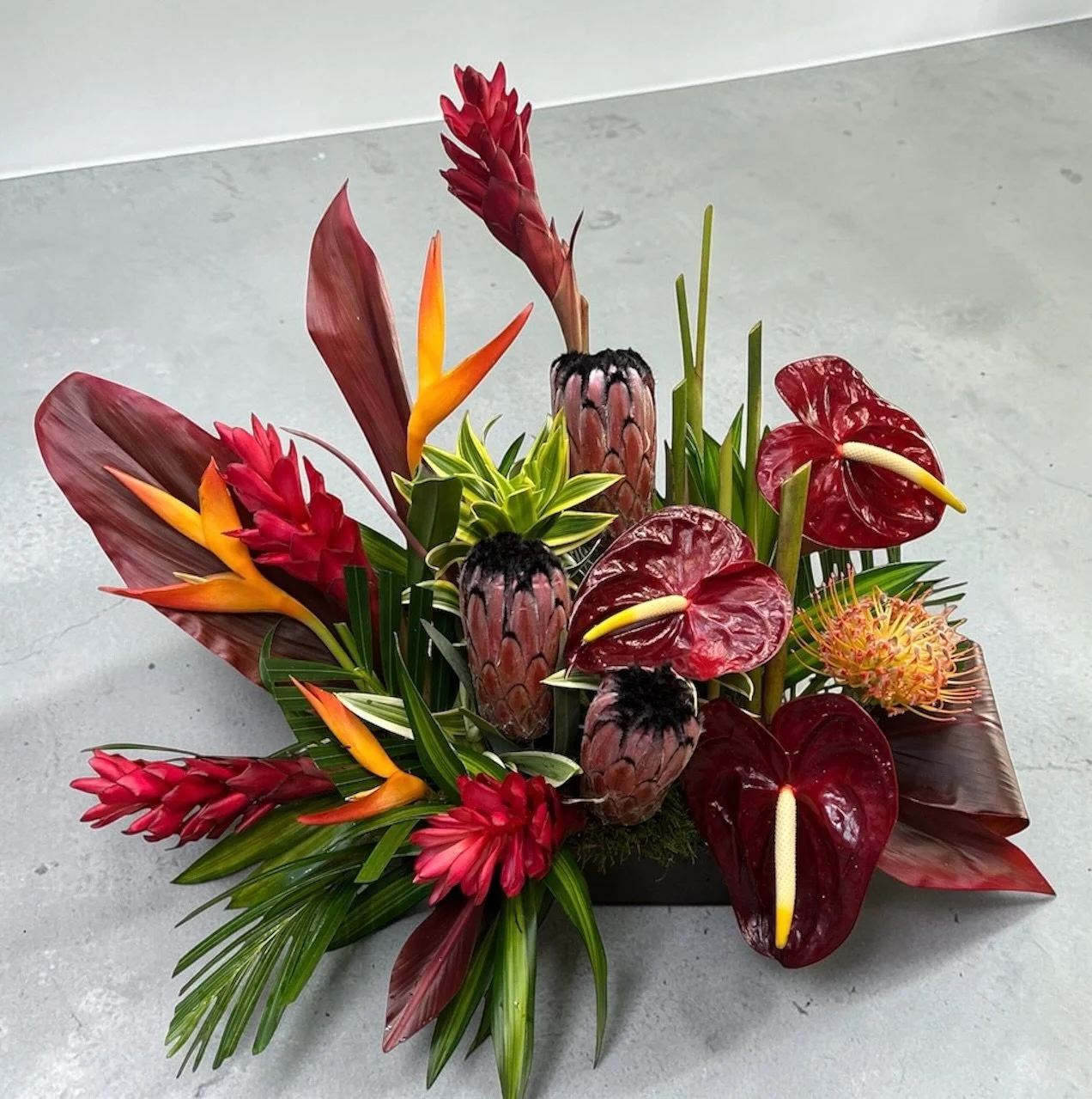 Photoroom_20260109_201954-Photoroom.jpg
