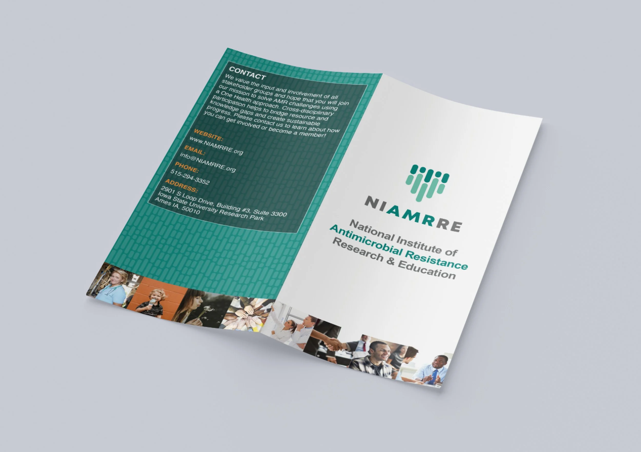 NIAMRRE Brochure Front and Back