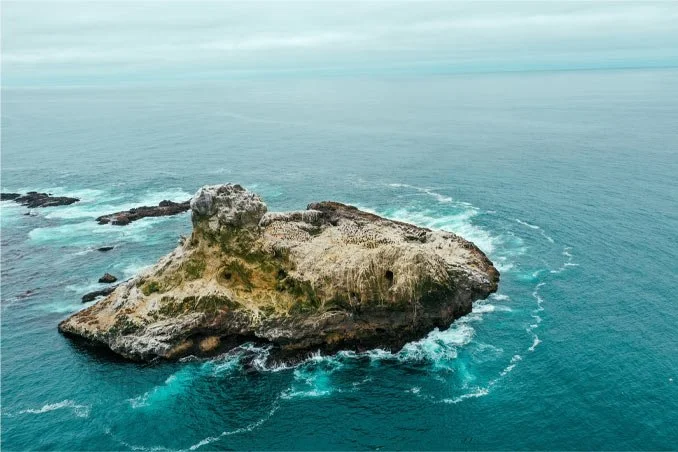 Walking on Water: The Solitary Islands Coastal Walk