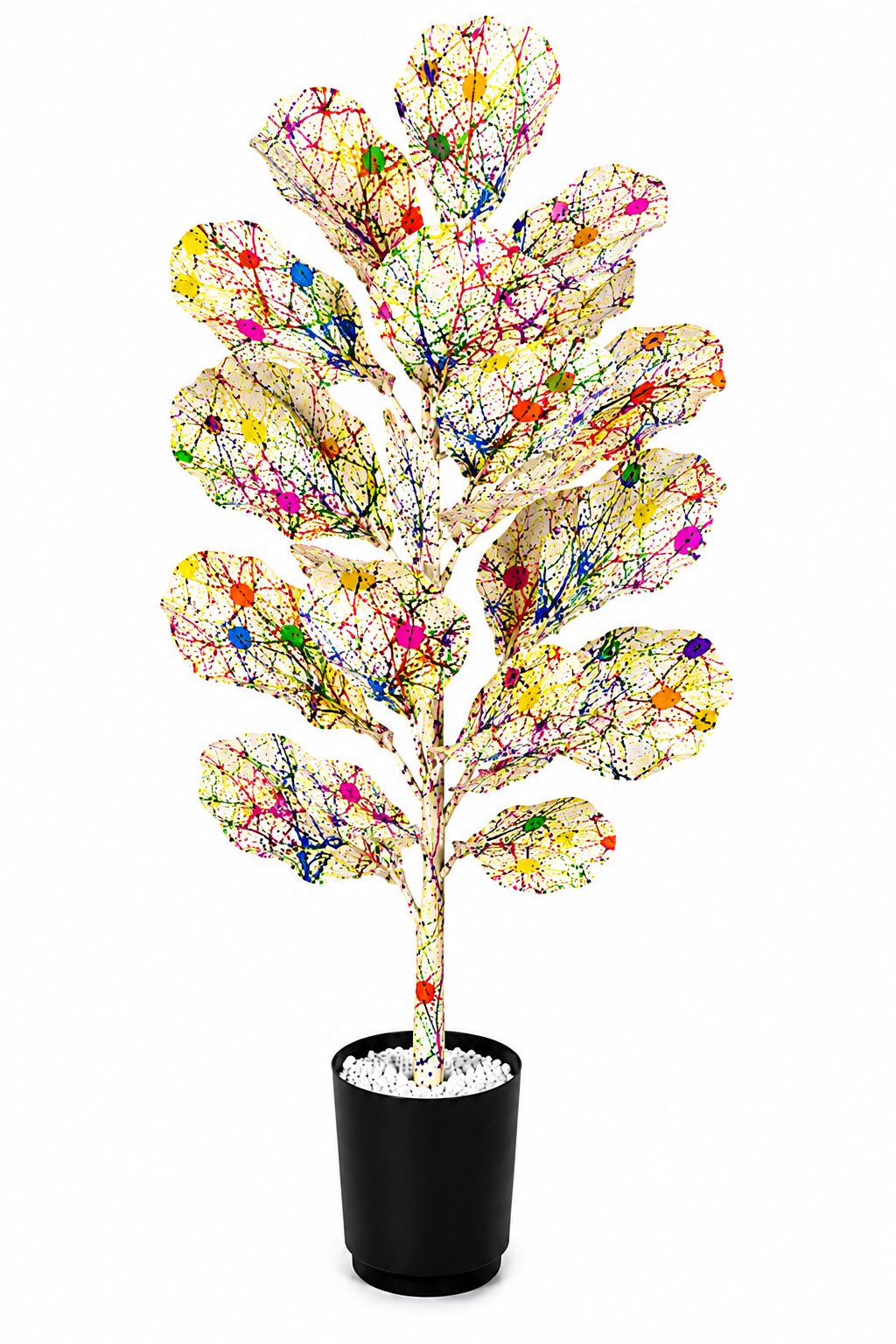 Pollock's Fiddle Leaf Fig: 5 Feet Height