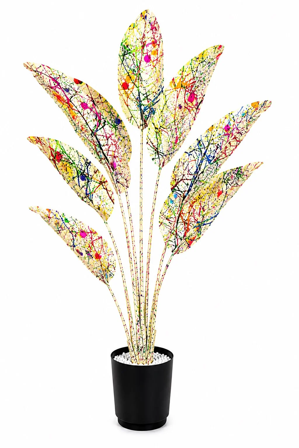 Pollock's White Bird of Paradise: 4 Foot Height
