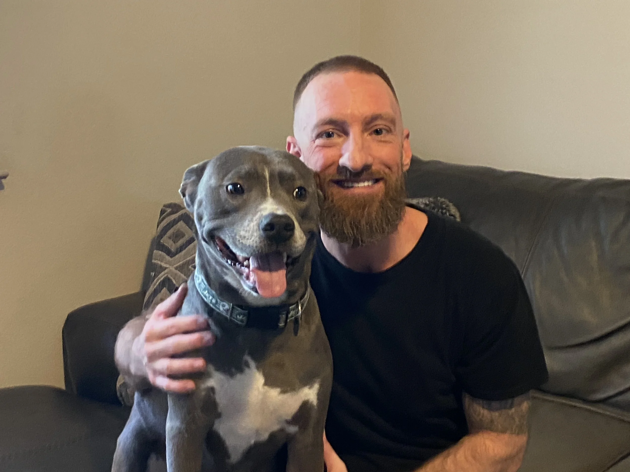 A smiling man with a beard holding a medium-sized gray dog with a white face in front of a plain beige wall.