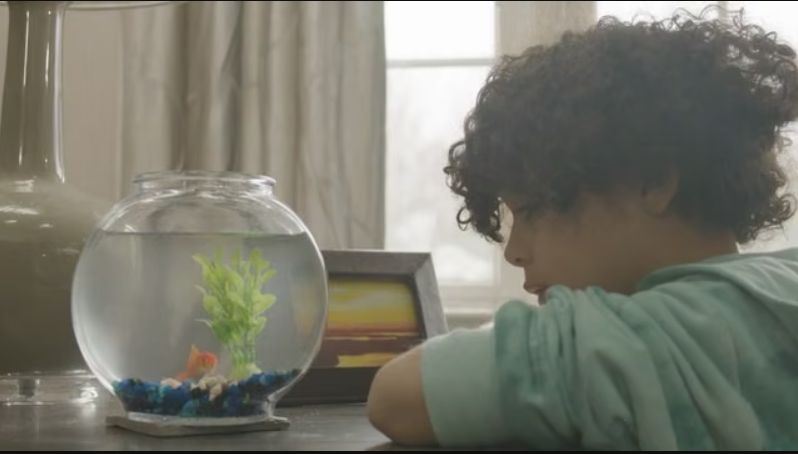 Fishbowl