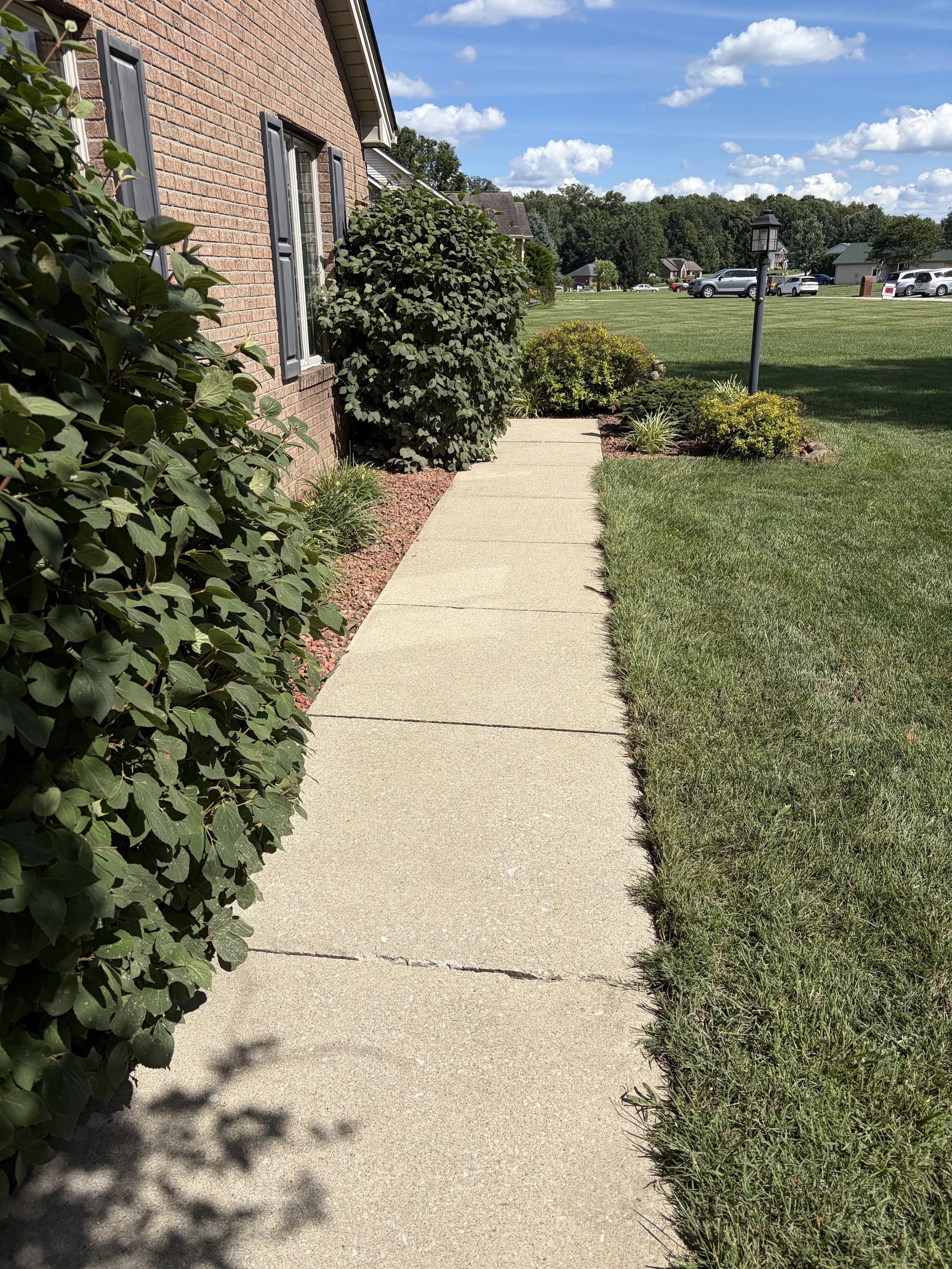 after power washing