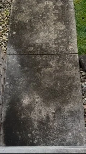 A close-up view of two weathered concrete slabs with moss and dirt, surrounded by small rocks and grass.