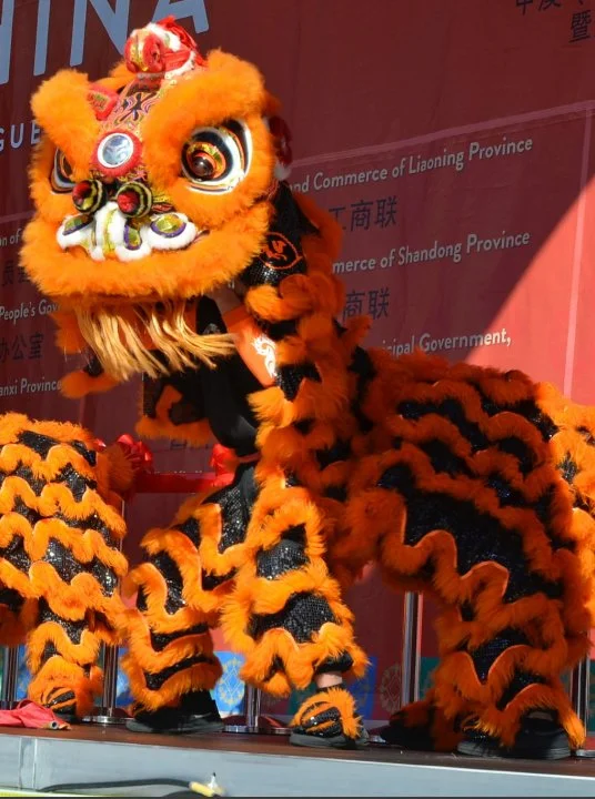 Hong De Lion & Dragon Dance