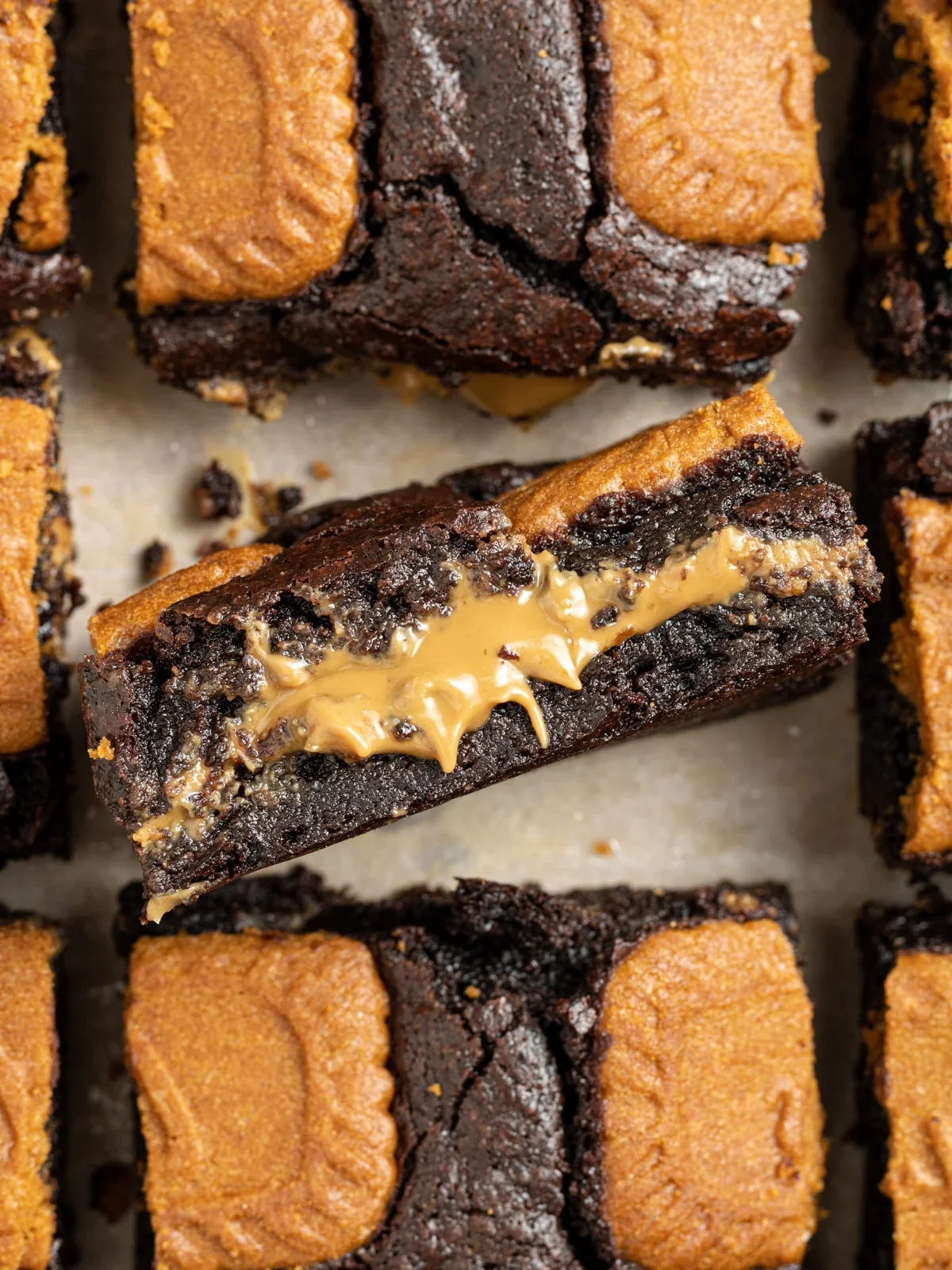 Fudgy Biscoff Brownie