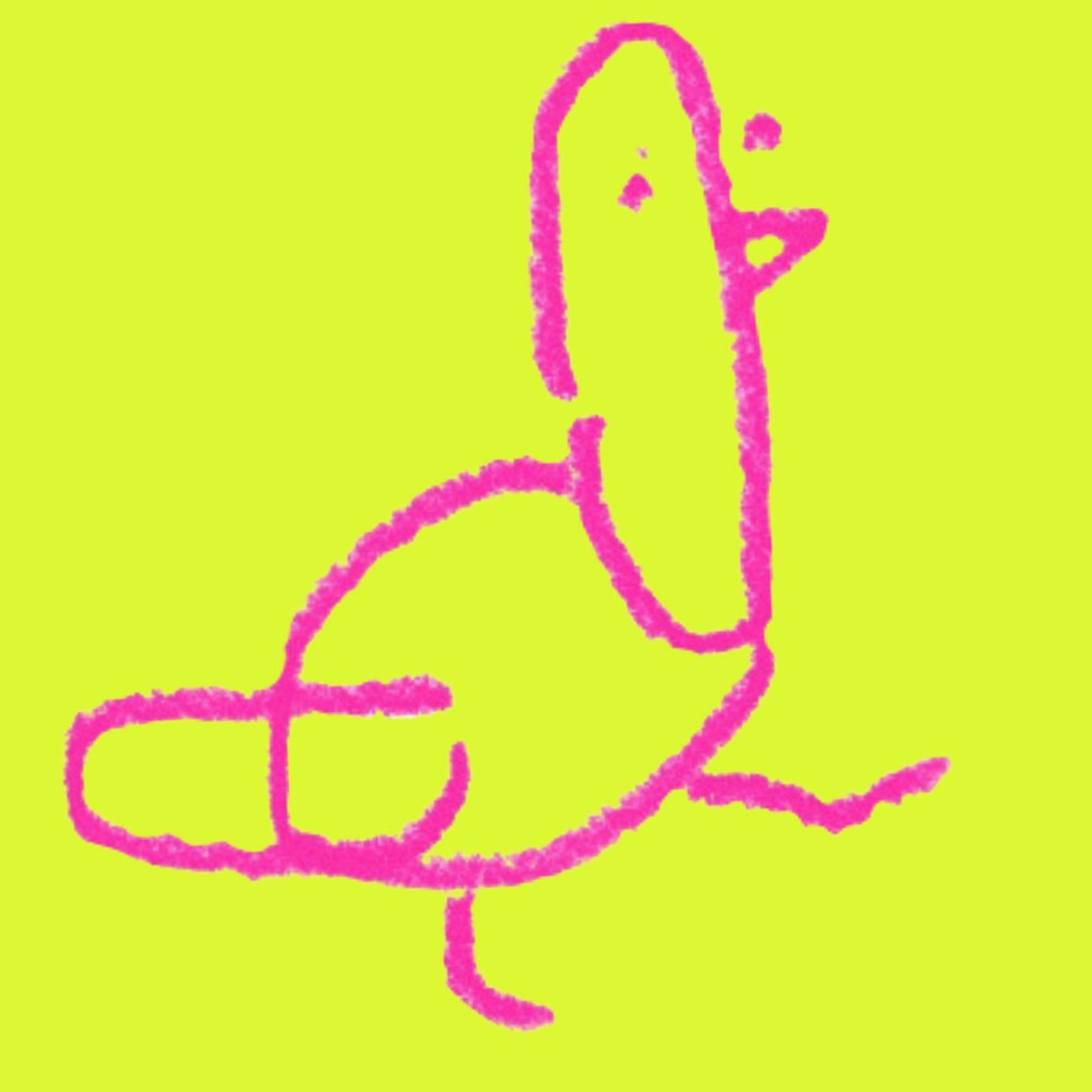 pdgn.