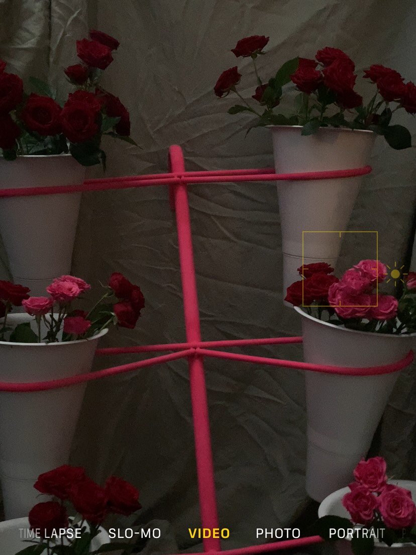 👀🥀
