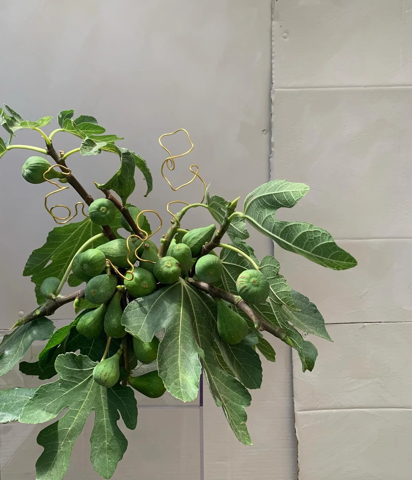 FIG.