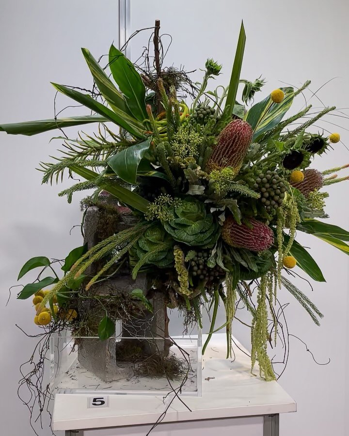 MIFGS 2025 ‼️😭🤎

#mifgs #melbflowershow #melbourneflowerandgardenshow #melbourneflowershow