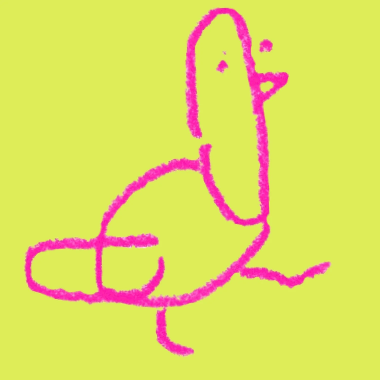 pdgn.