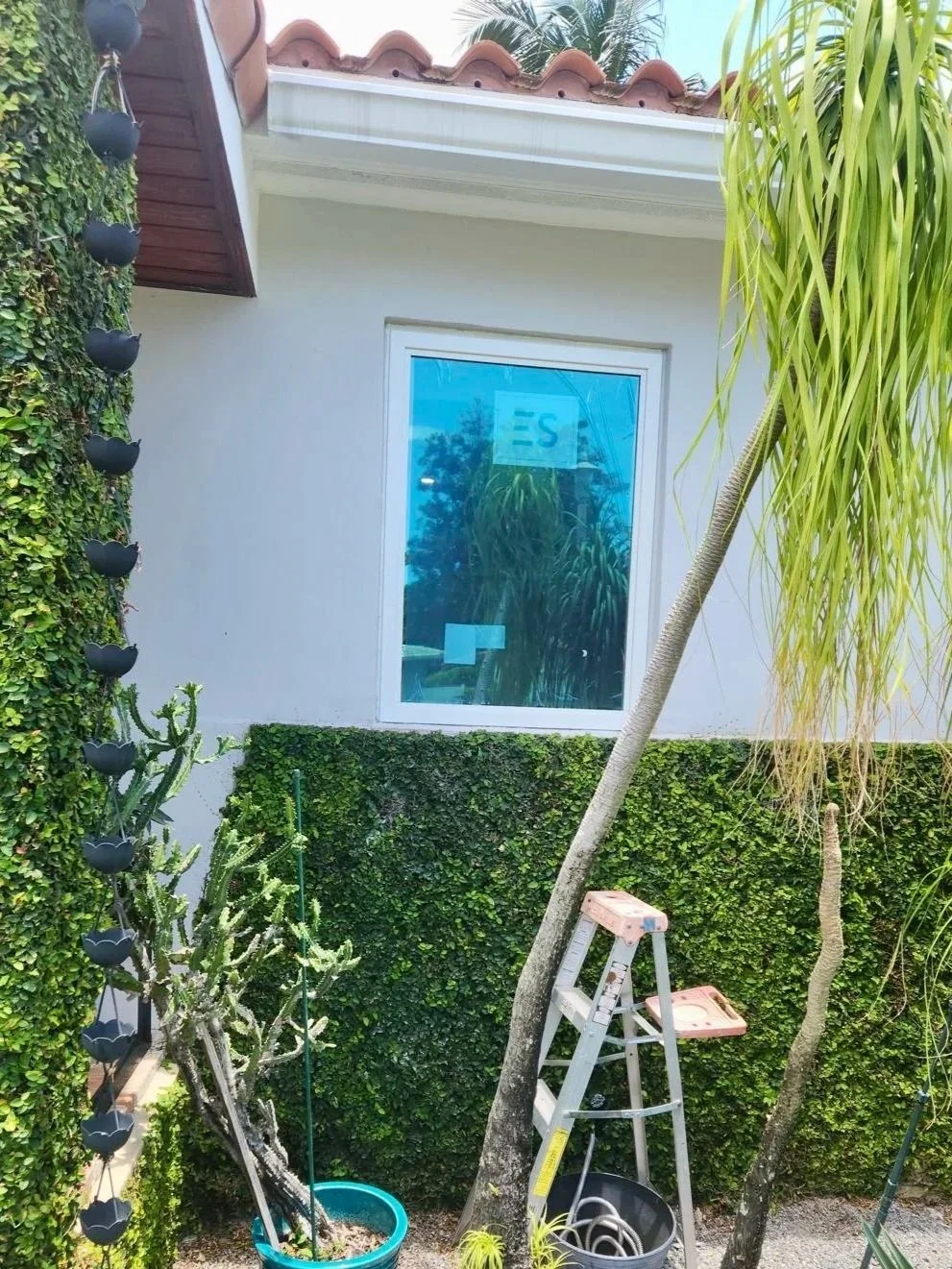 Window Installation Project