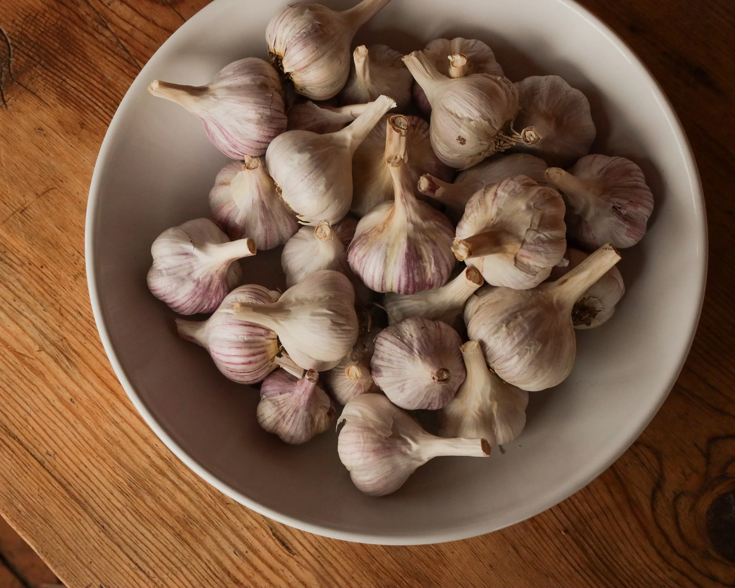 Garlic.jpg
