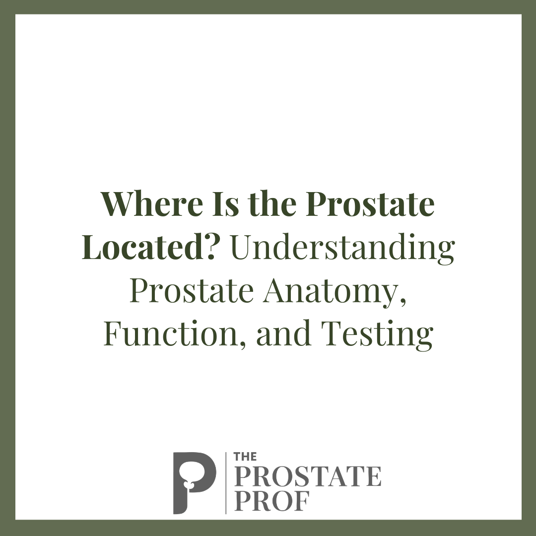 Where Is the Prostate Located? Understanding Prostate Anatomy, Function, and Testing