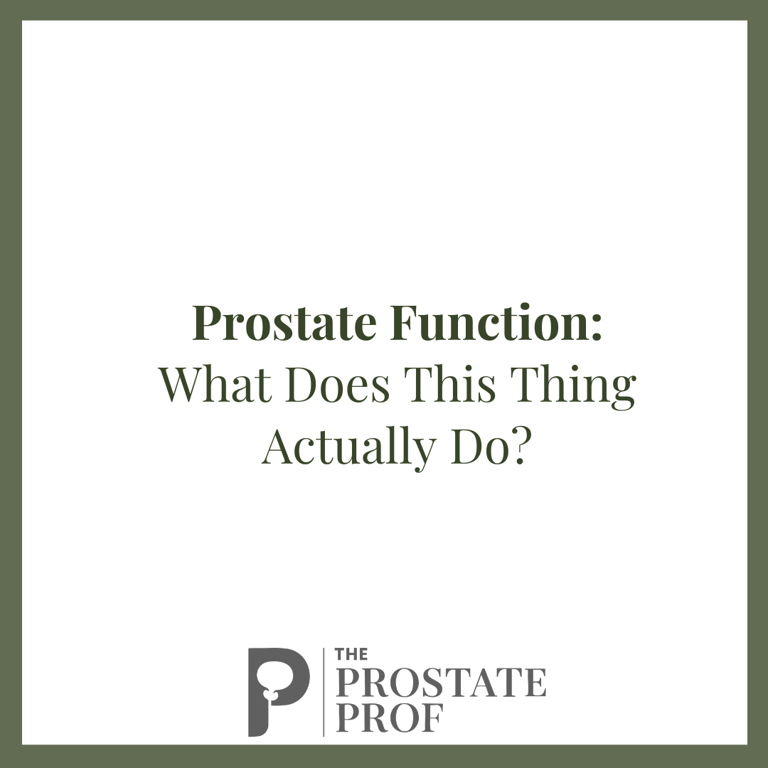 Prostate Function: What Does This Thing Actually Do?