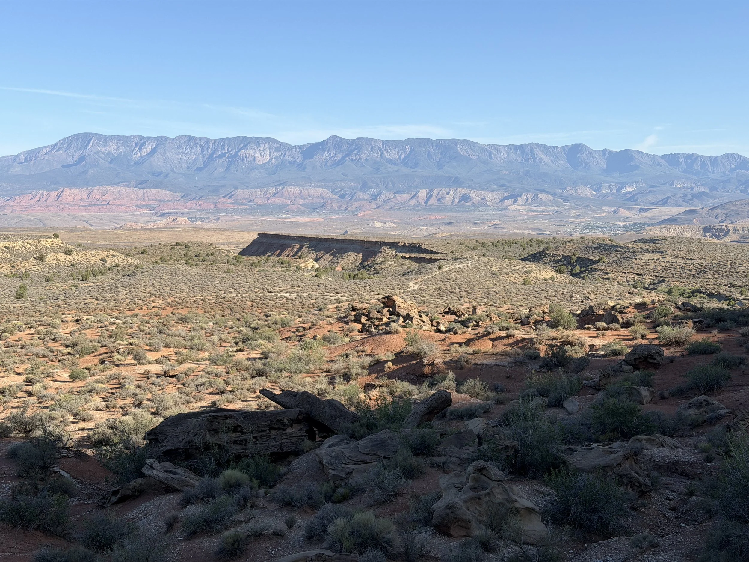 A vast desert landscape with rocky terrain, sparse vegetation, and a mountain range in the background under a clear blue sky.
