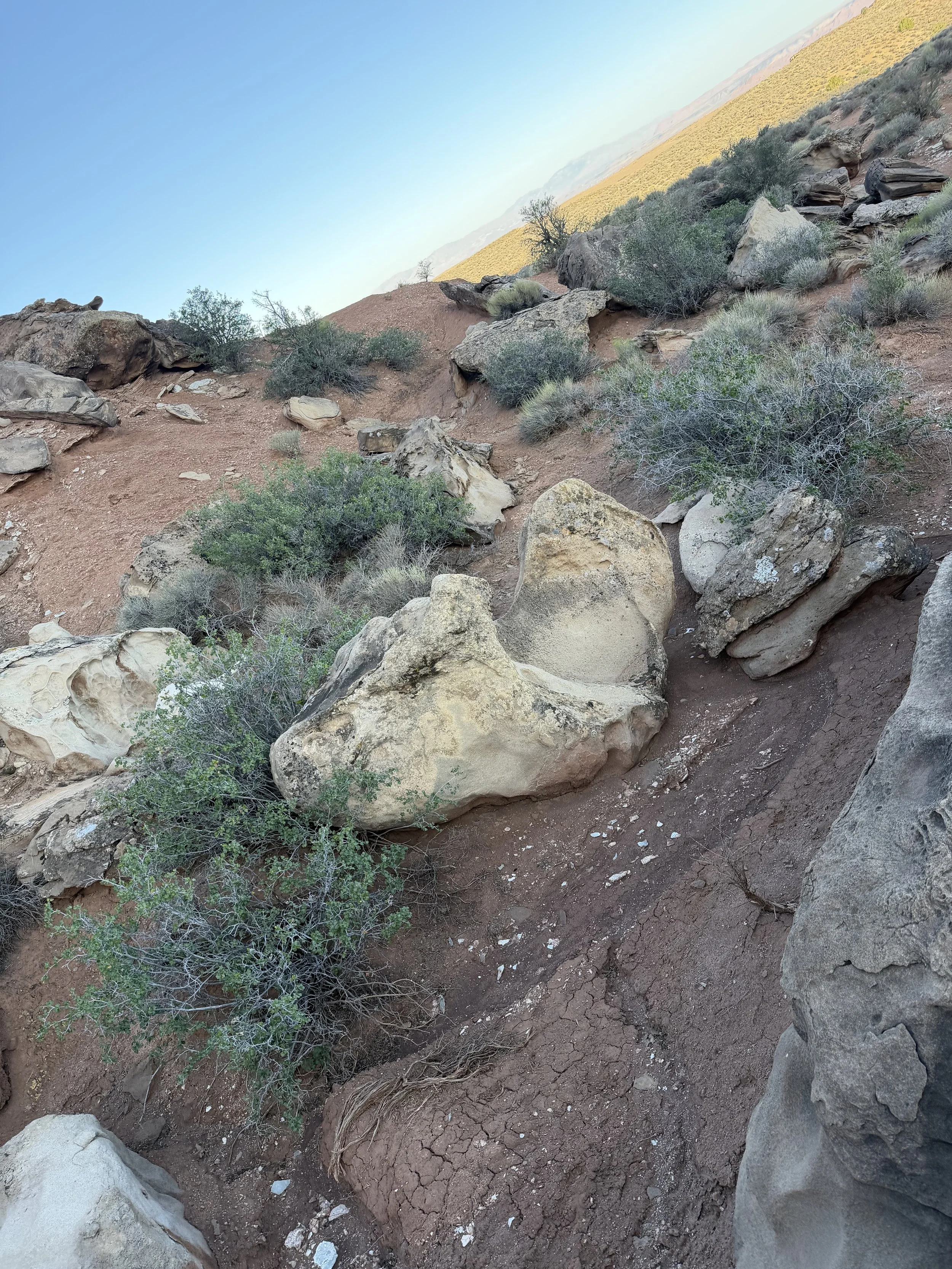 Desert landscape with large rocks, bushes, and dry cracked earth under a clear blue sky.