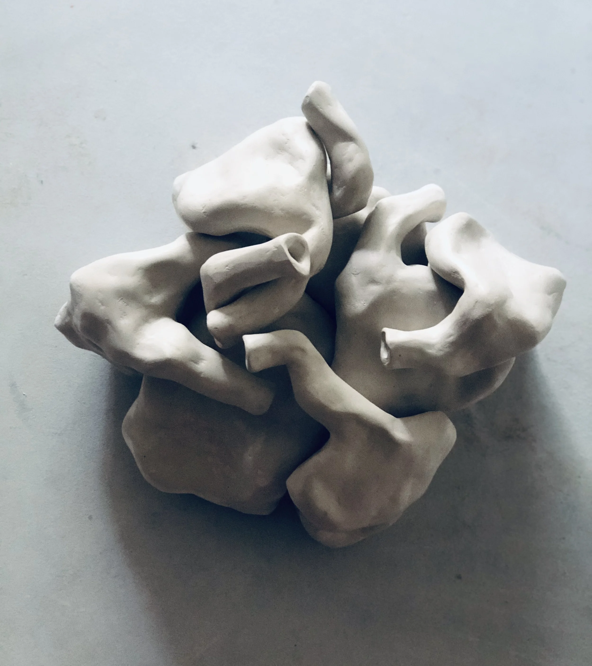5) Foroozan Shirghani, Alienation, Installation,13 x13” ,2019jpeg.jpeg