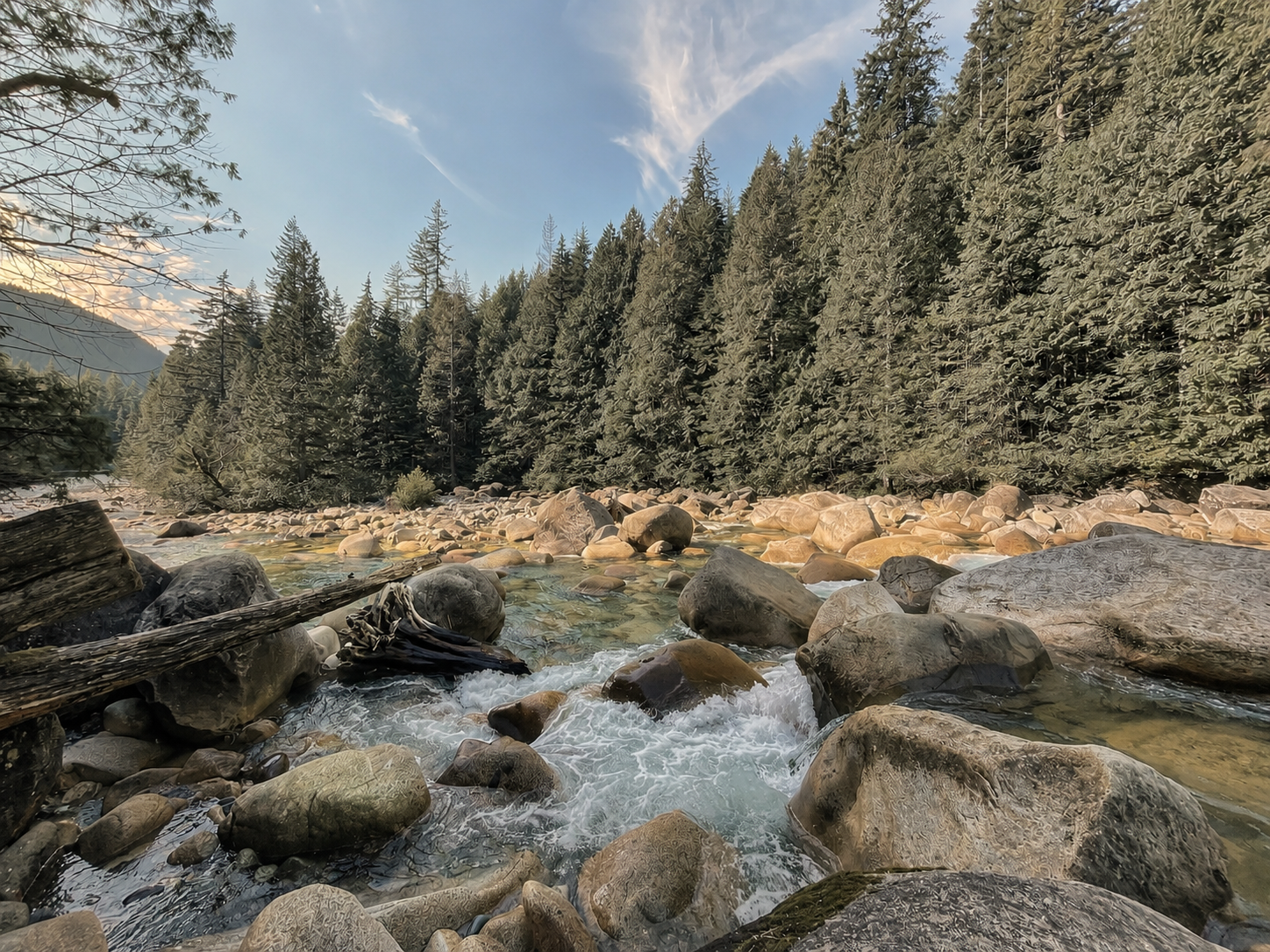 Peaceful mountain river flowing through an evergreen forest, accompanying the EMDR therapy section.