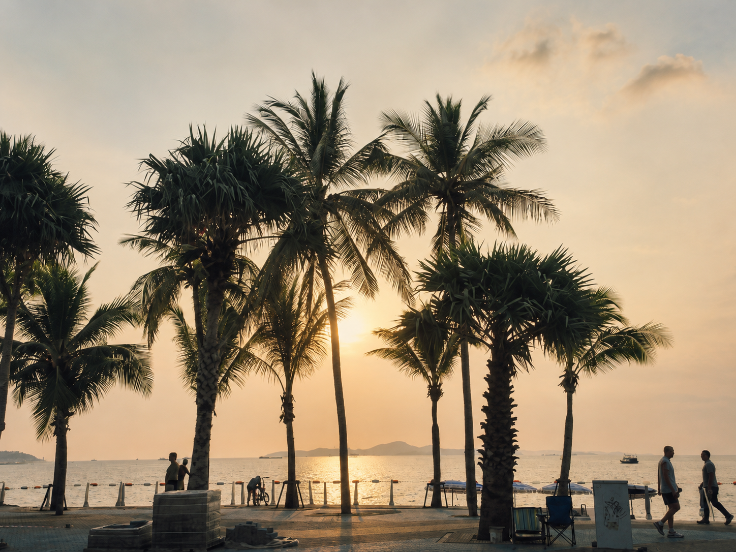 Palm trees beside the ocean at sunset, symbolizing transition, growth, and embracing life’s changing seasons.