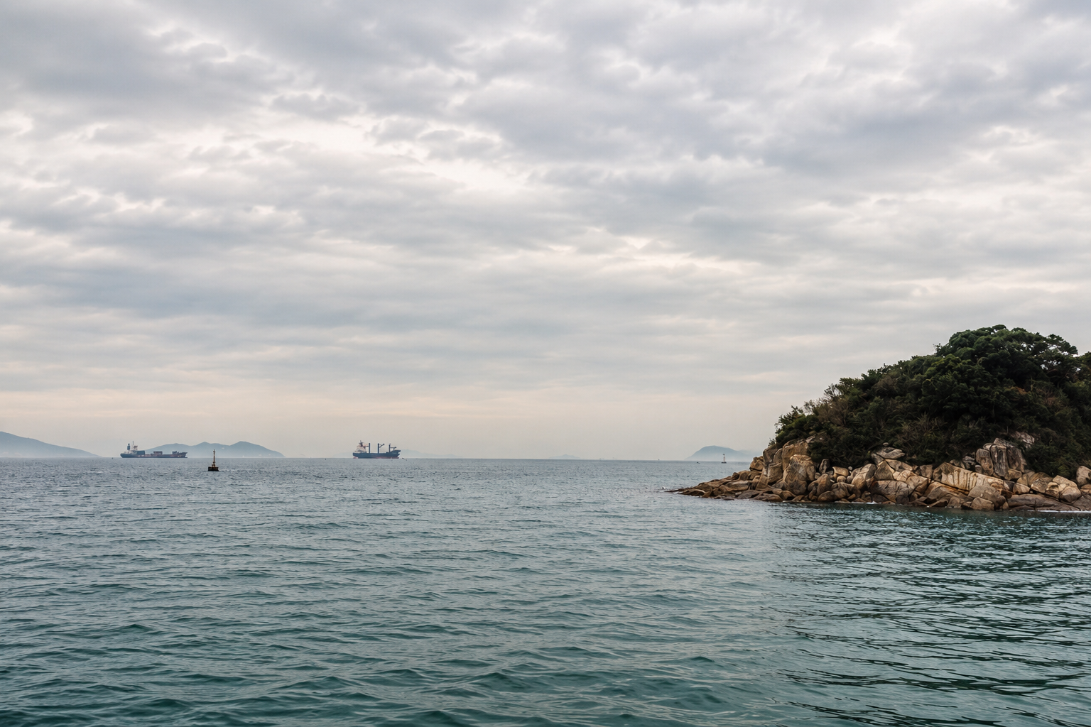 Ocean stretching toward the horizon beside a forested shoreline, symbolizing healing, resilience, and hope after trauma.