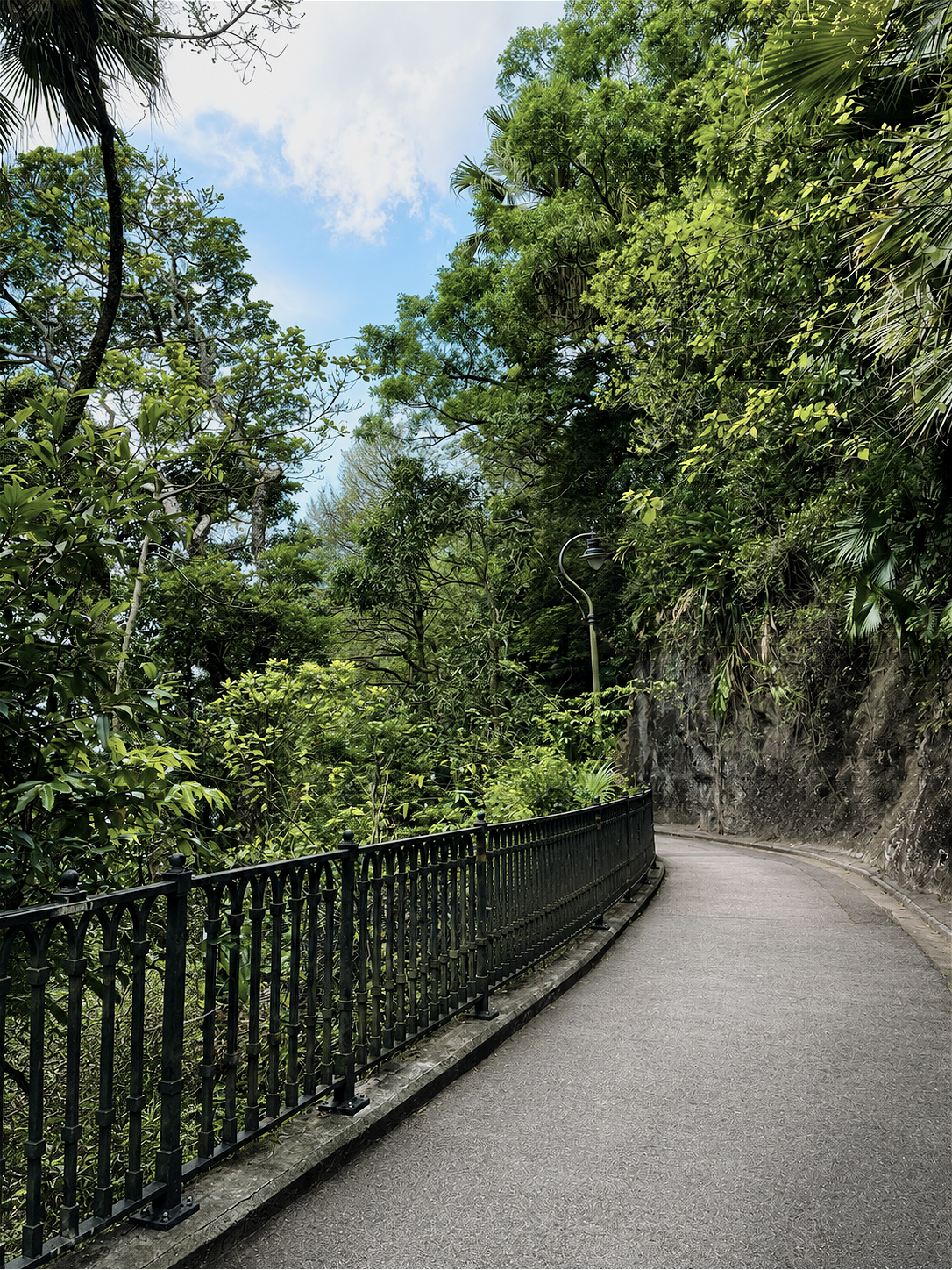 A winding pathway through a lush forest, symbolizing life transitions, identity, and new beginnings.