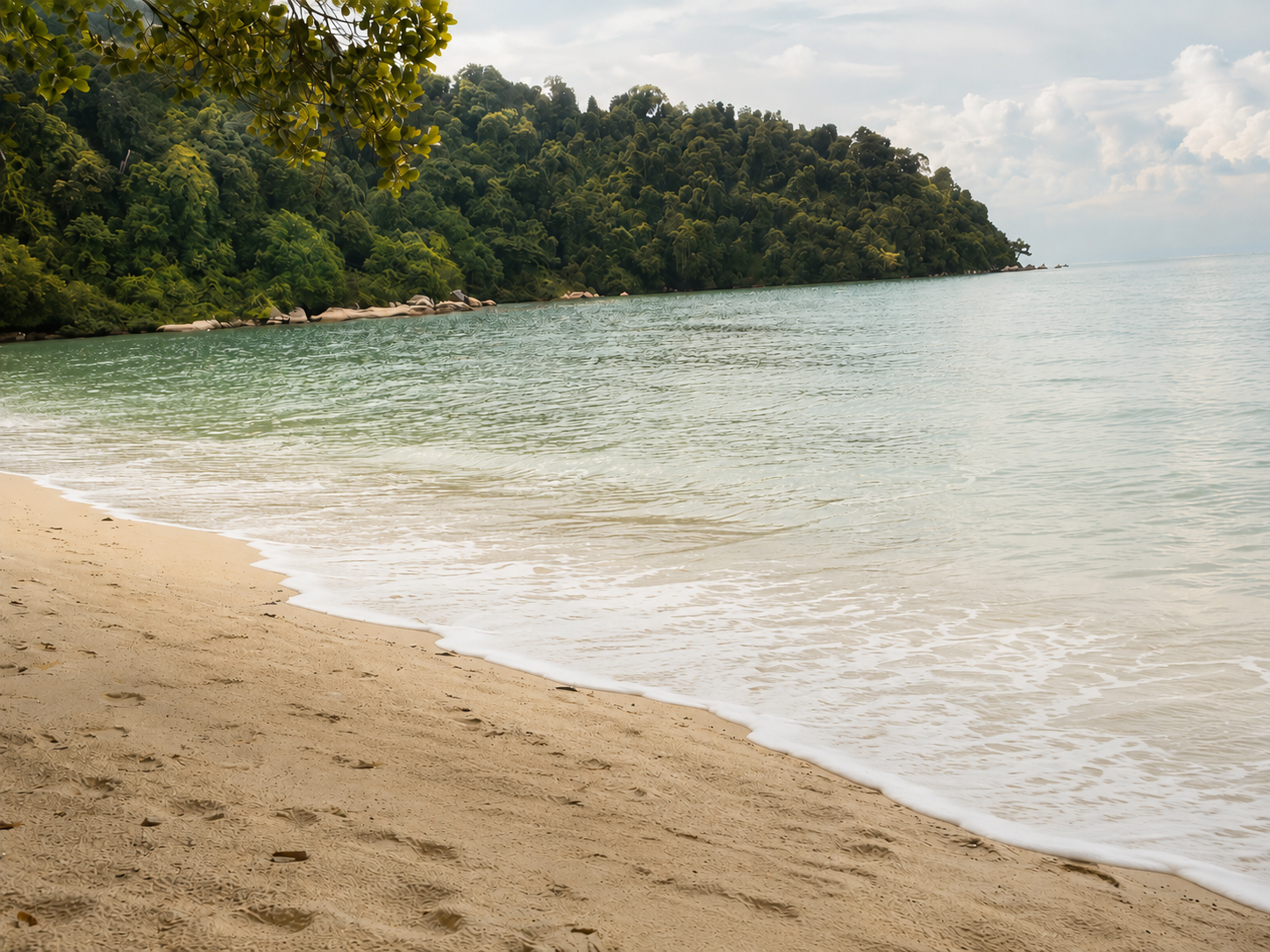 Peaceful shoreline with gentle waves, symbolizing mindfulness, grounding, and compassionate awareness.