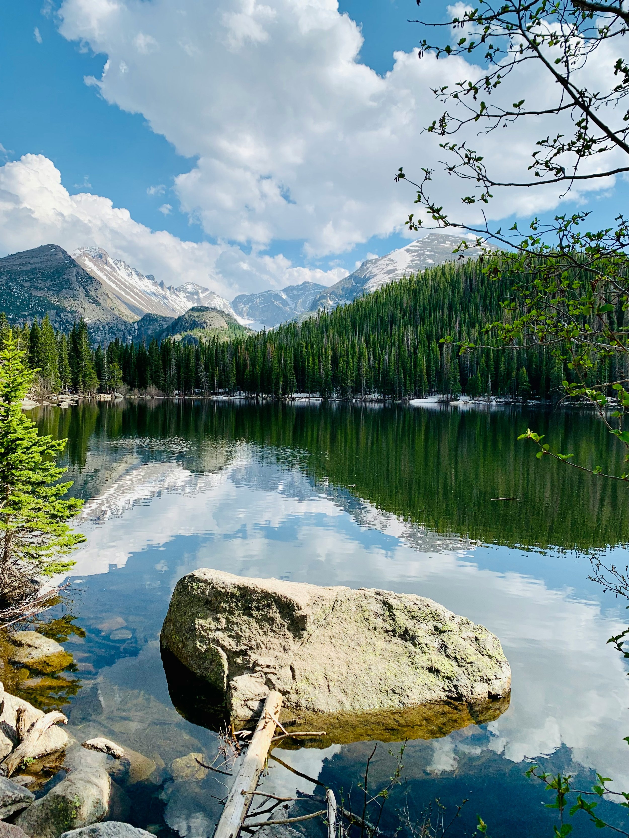 A peaceful mountain lake scene with calm water reflecting the trees and sky, snow-capped mountains in the background, green pine trees along the shoreline, a large rock near the water's edge, and some branches and small plants in the foreground.