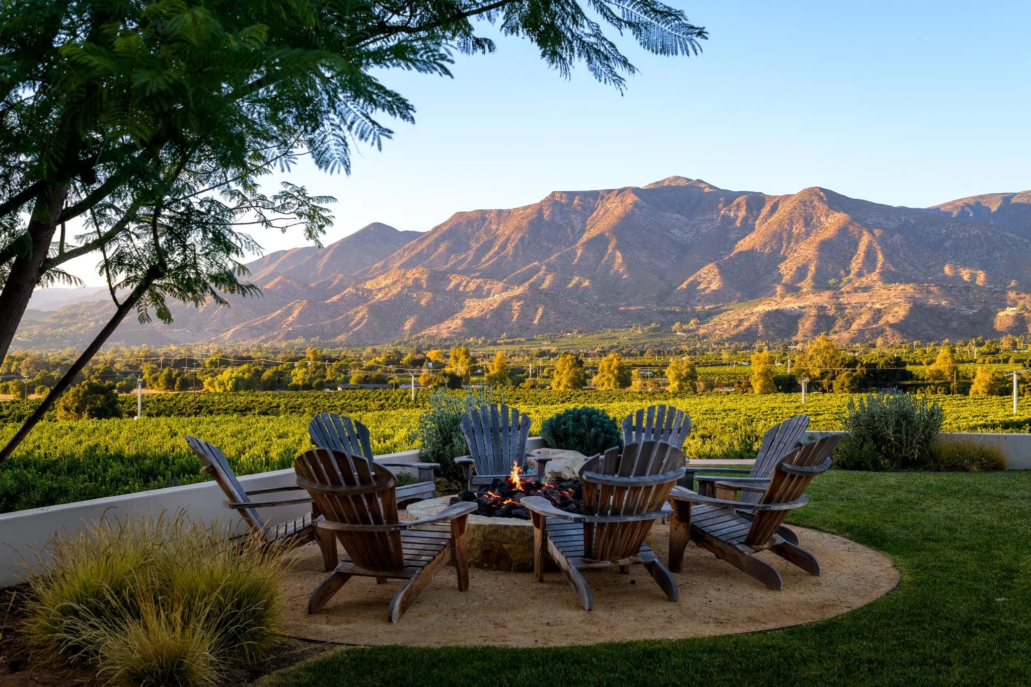 Ojai Harvest Season