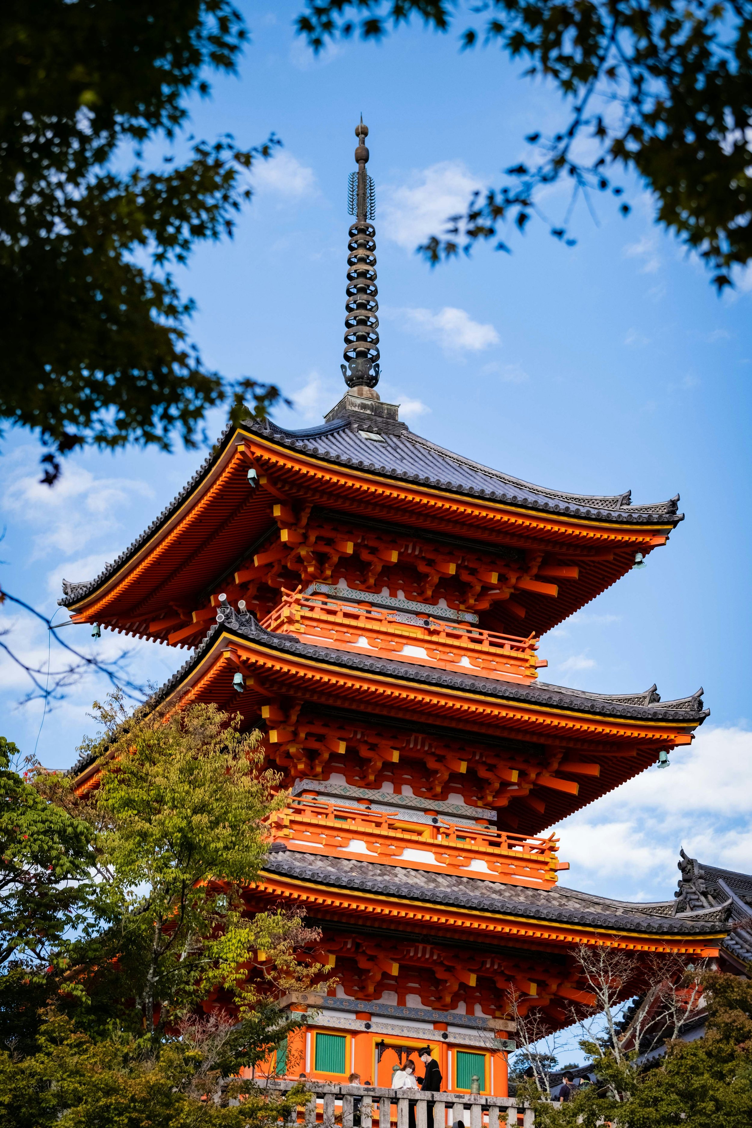 Your Complete Guide to Tokyo &amp; Kyoto in Cherry Blossom Season