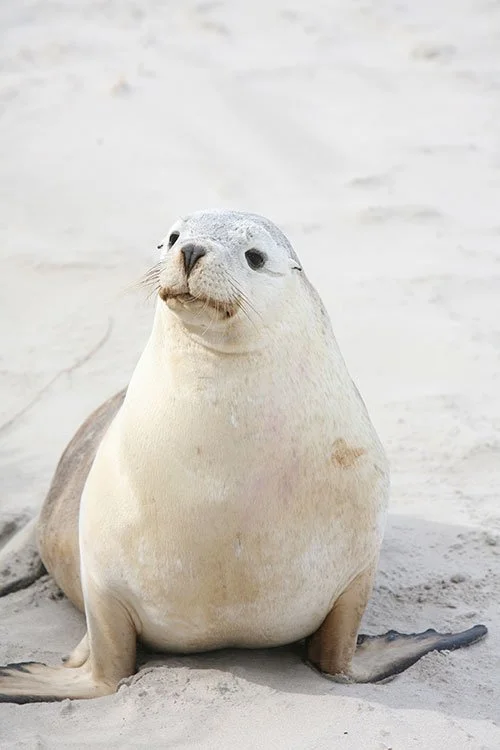 18-Abundant-Wildlife.jpg