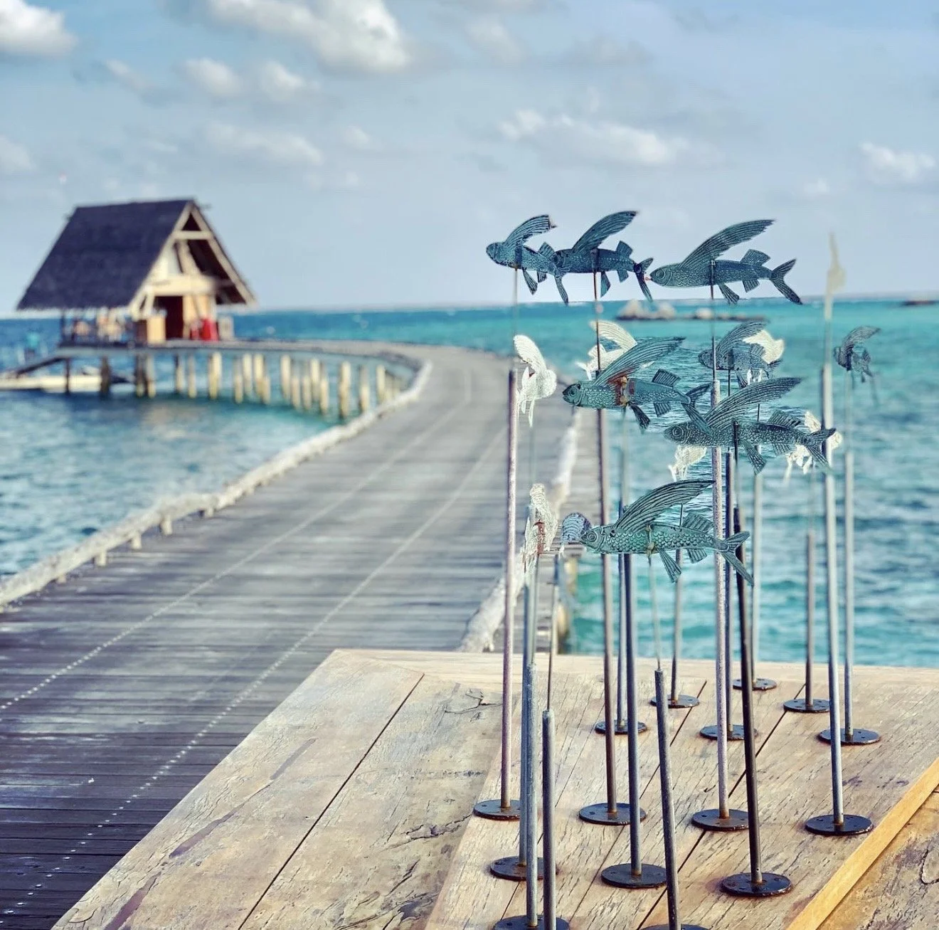Bawah Reserve: Meet The Visionaries Behind Indonesia’s Sustainable Private Island Resort