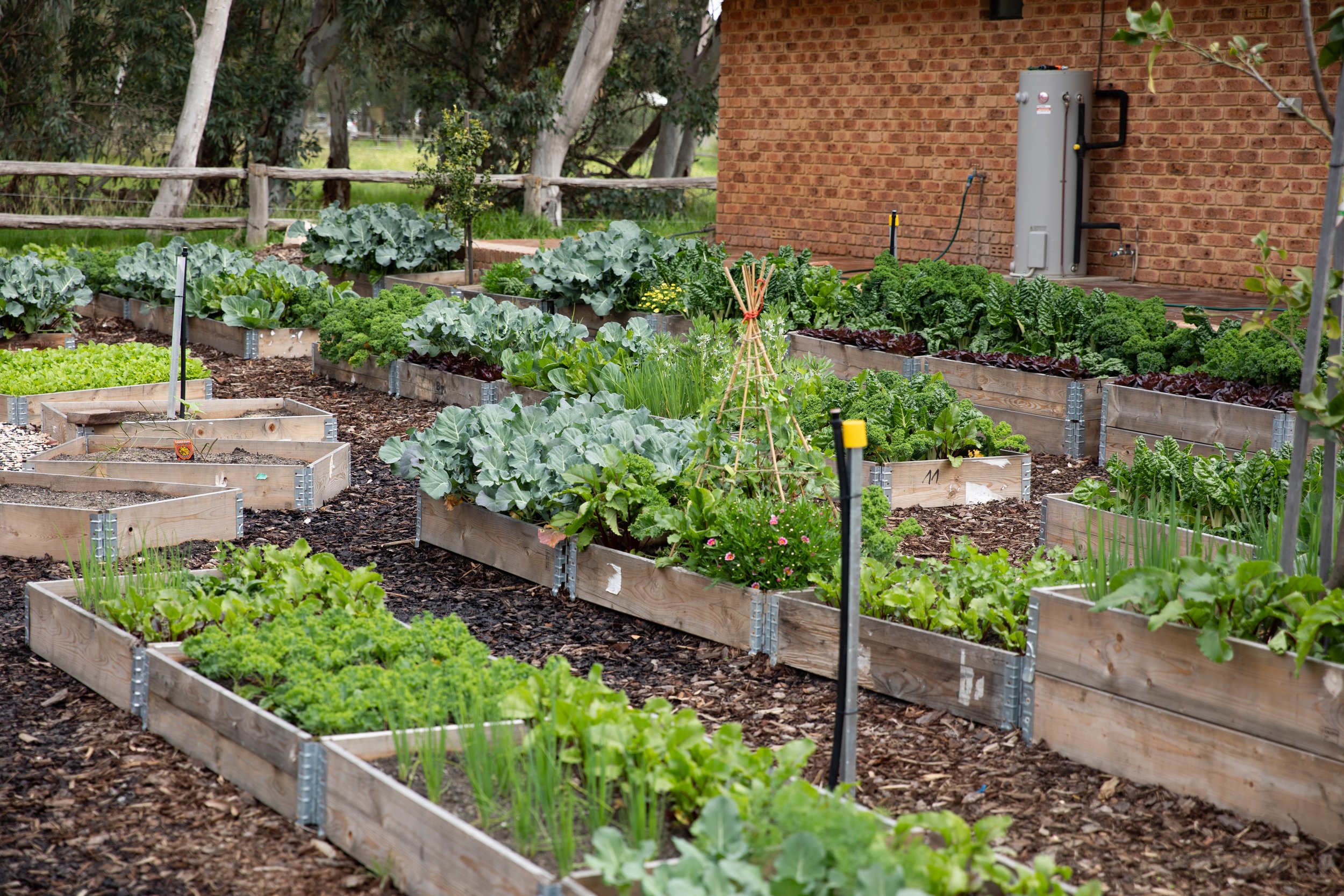 LittleFarm-Sept4-ByCBC-44.jpg